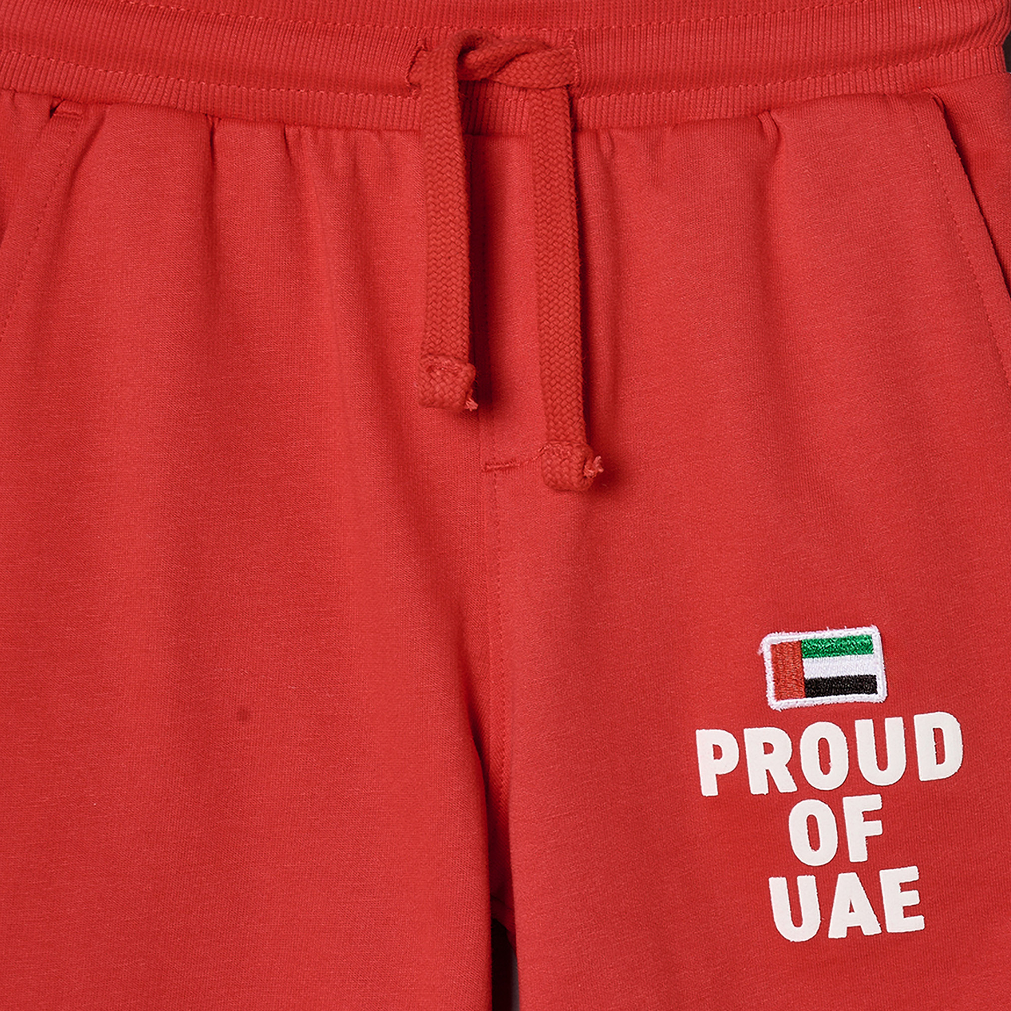 Juniors Elasticated Waist Joggers with UAE National Day Print-boys-clothing-bottoms-joggersandtrackpants-image-4
