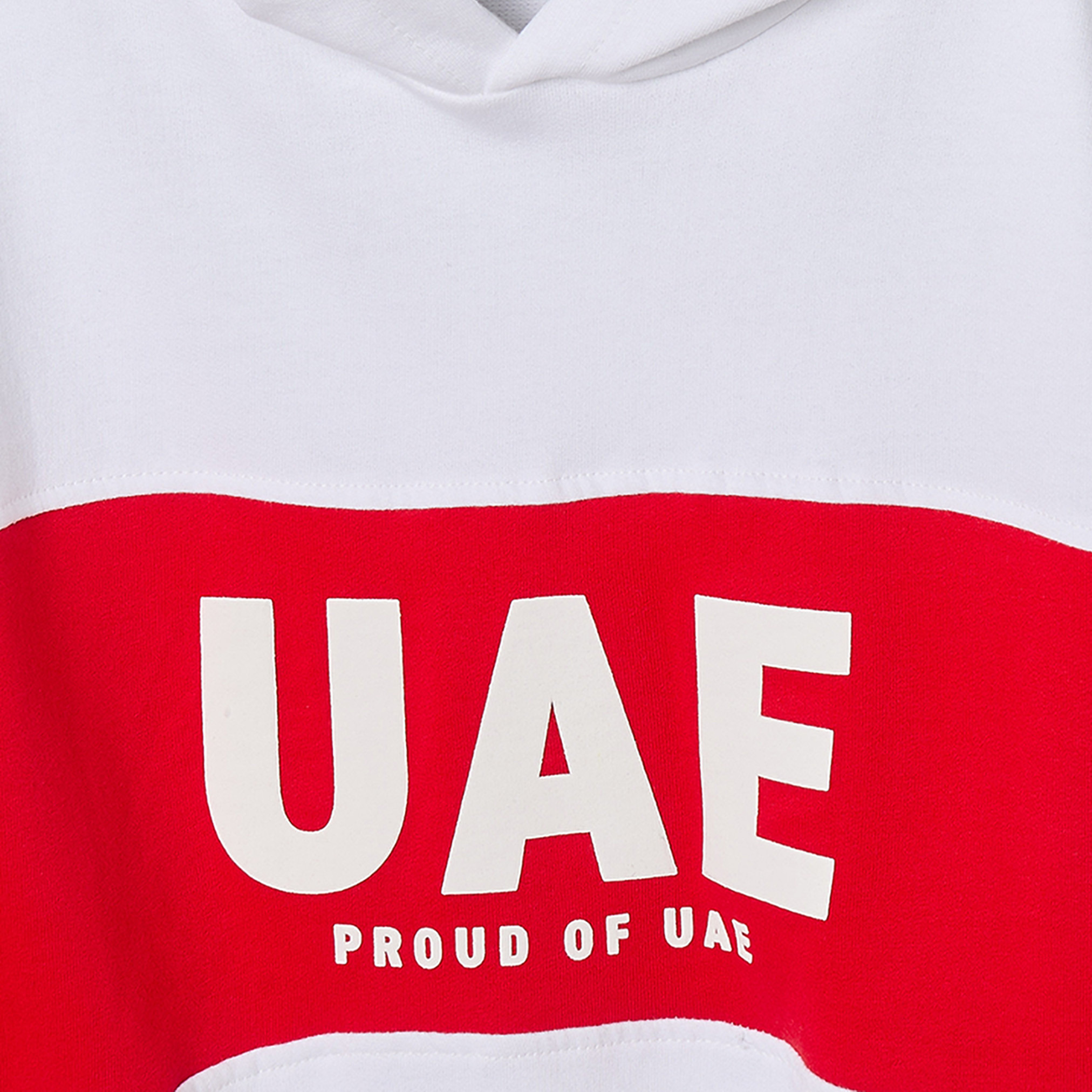 Juniors UAE National Day Print Sweatshirt with Long Sleeves-baby-boys-clothing-winterwear-sweatshirts-image-4