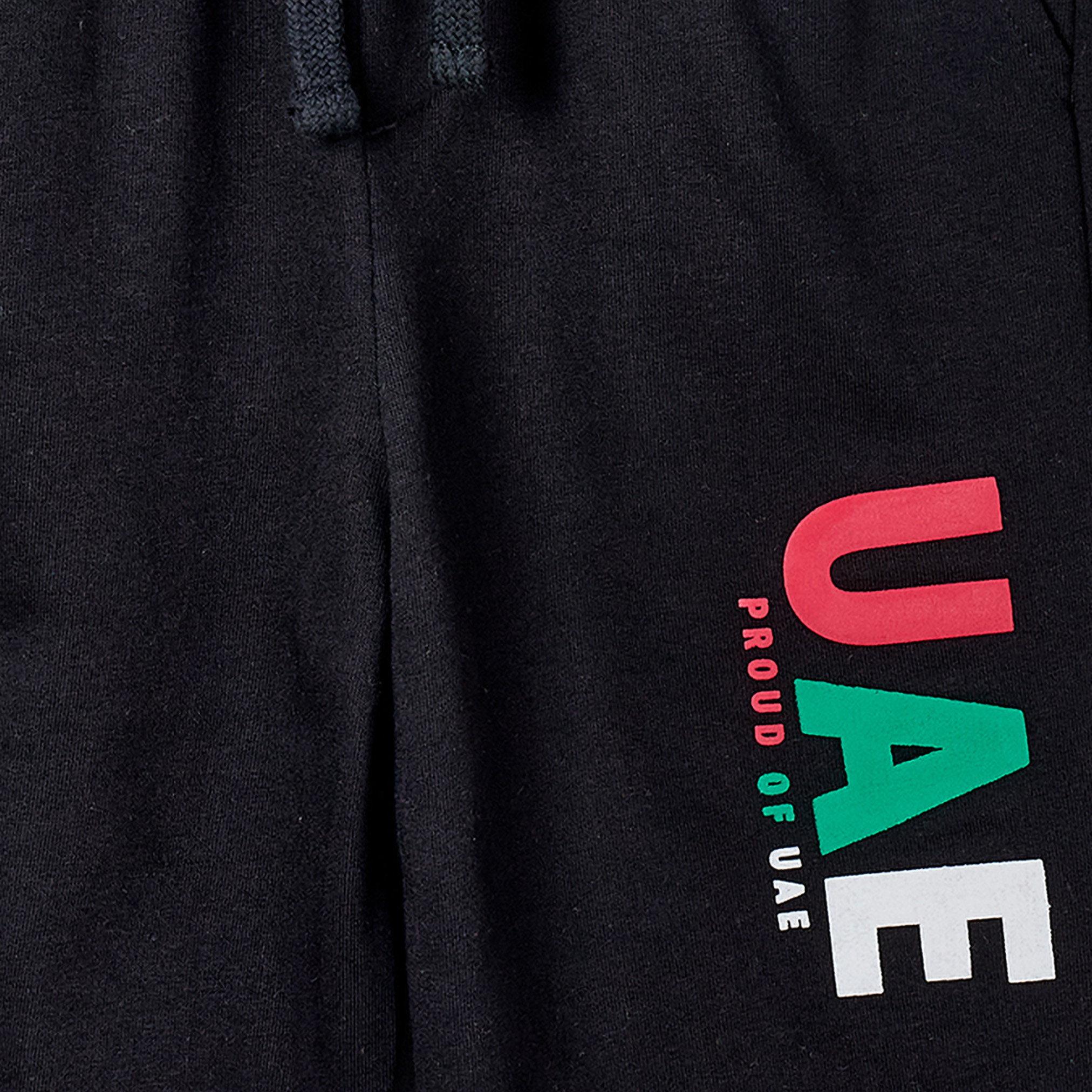 Juniors Crew Neck Long Sleeves Sweatshirt and Joggers Set with UAE National Day Print-boys-clothing-setsandcoords-image-7