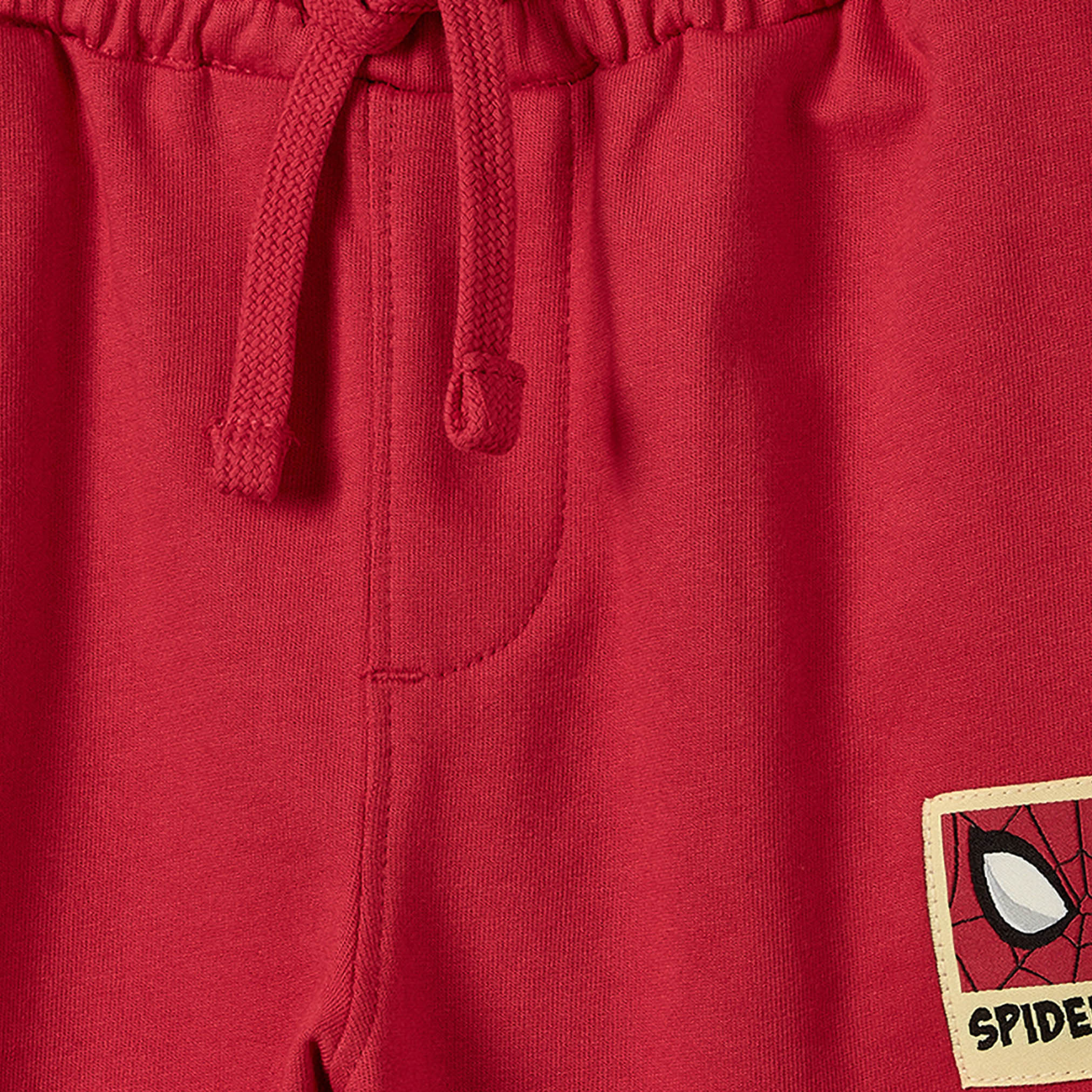 Hooded Neck Long Sleeves Sweatshirt and Joggers Set with Spider-Man Print-boys-clothing-setsandcoords-image-6
