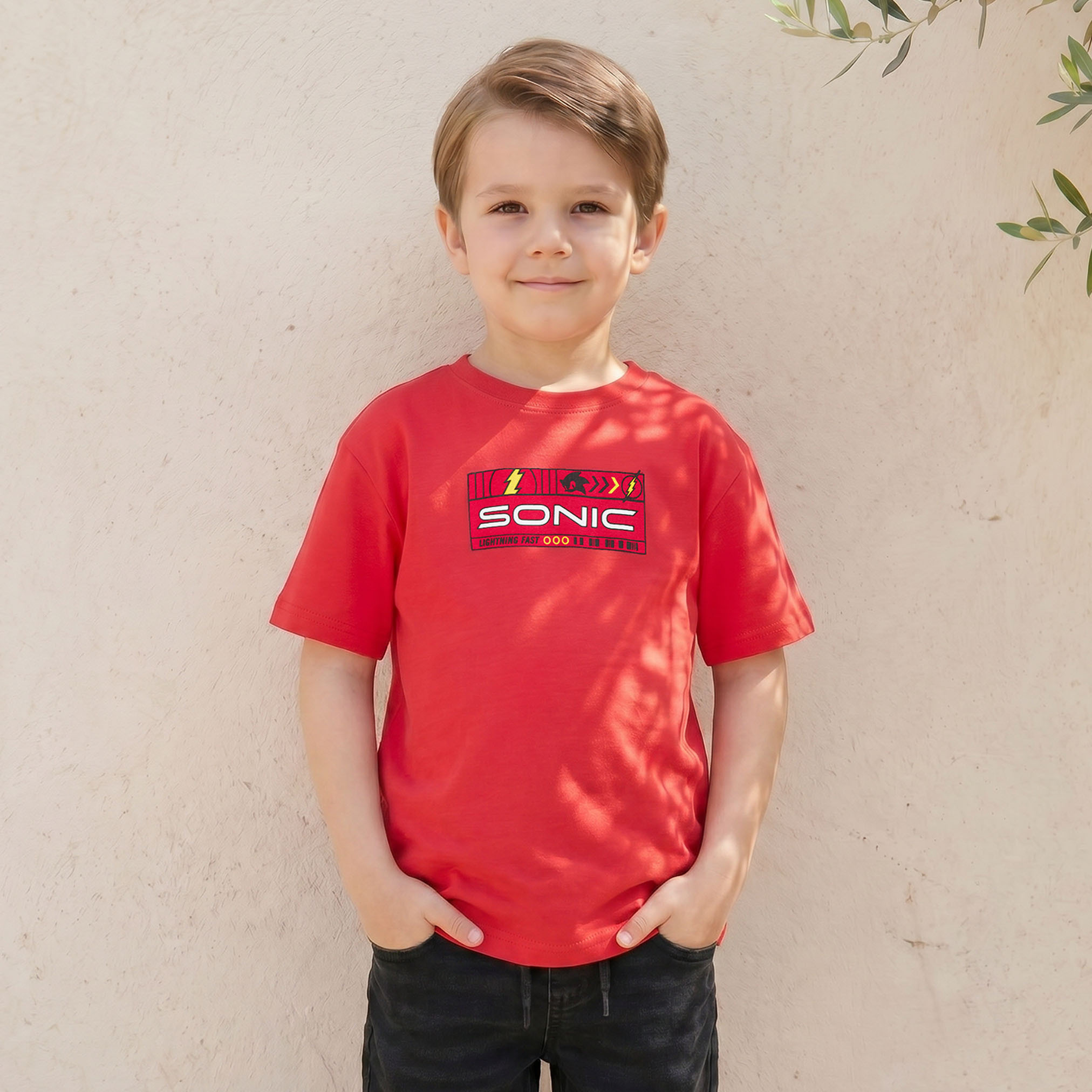 Warner Bros X Sega Crew Neck Short Sleeves T-shirt with Sonic the Hedgehog Print-boys-clothing-tshirtsandpolos-image-3
