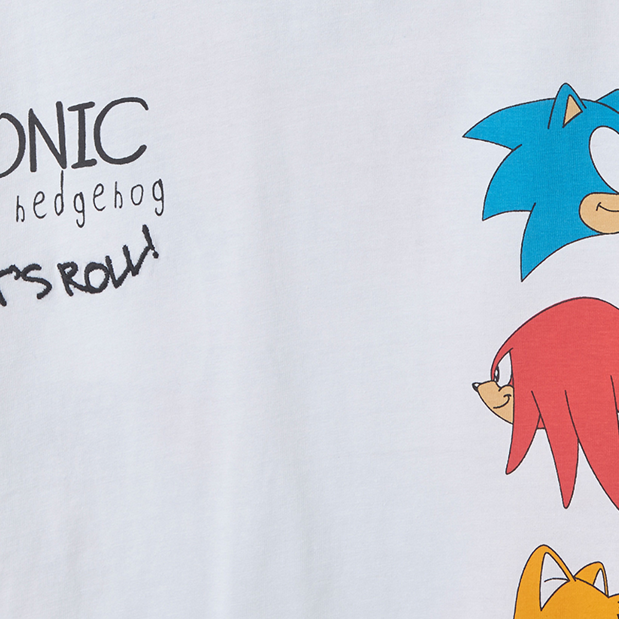 Crew Neck Short Sleeves T-shirt and Shorts Set with Sonic the Hedgehog Print-boys-clothing-setsandcoords-image-7