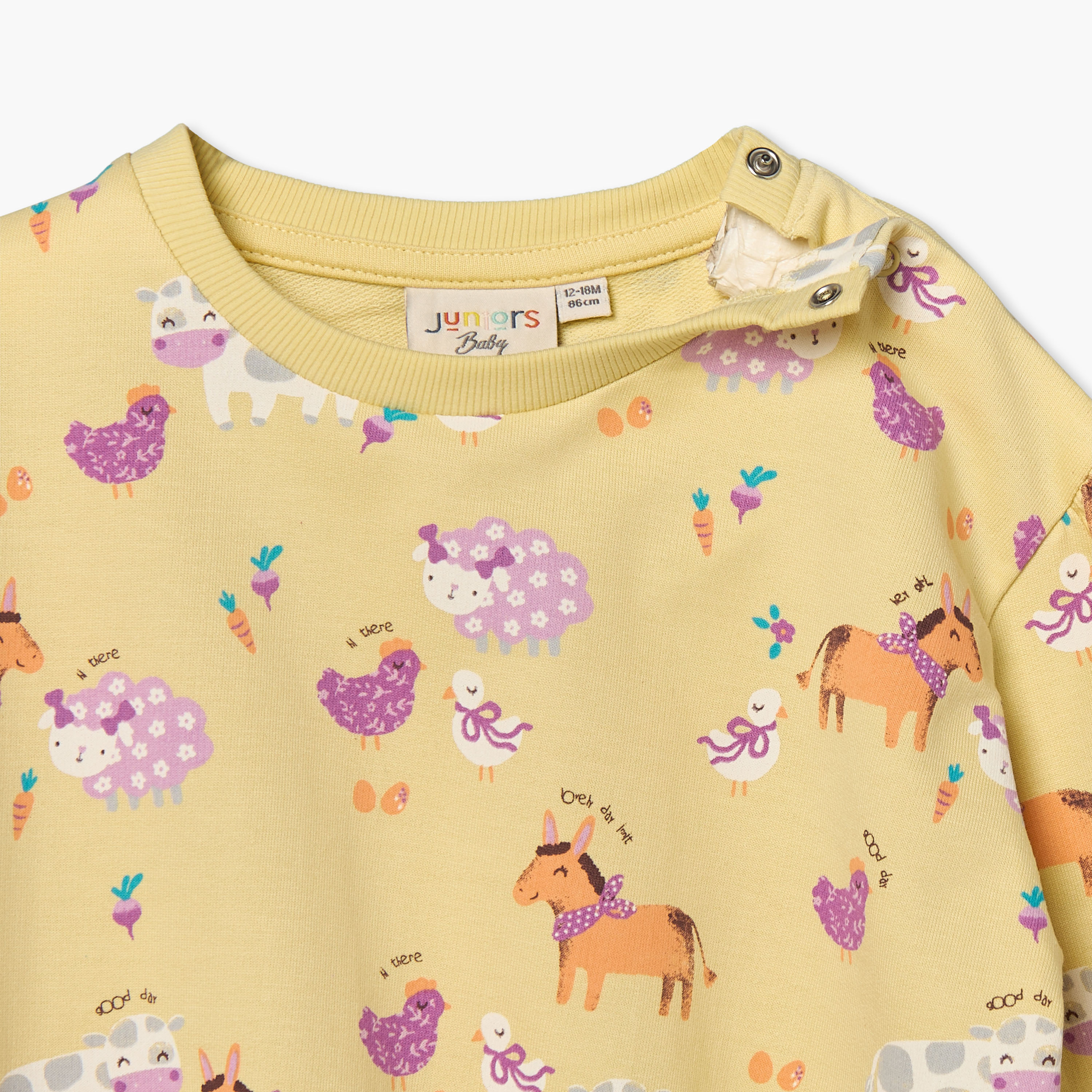 Juniors Crew Neck Long Sleeves Sweatshirt and Leggings Set with Floral Print-baby-girls-clothing-setsandcoords-image-6