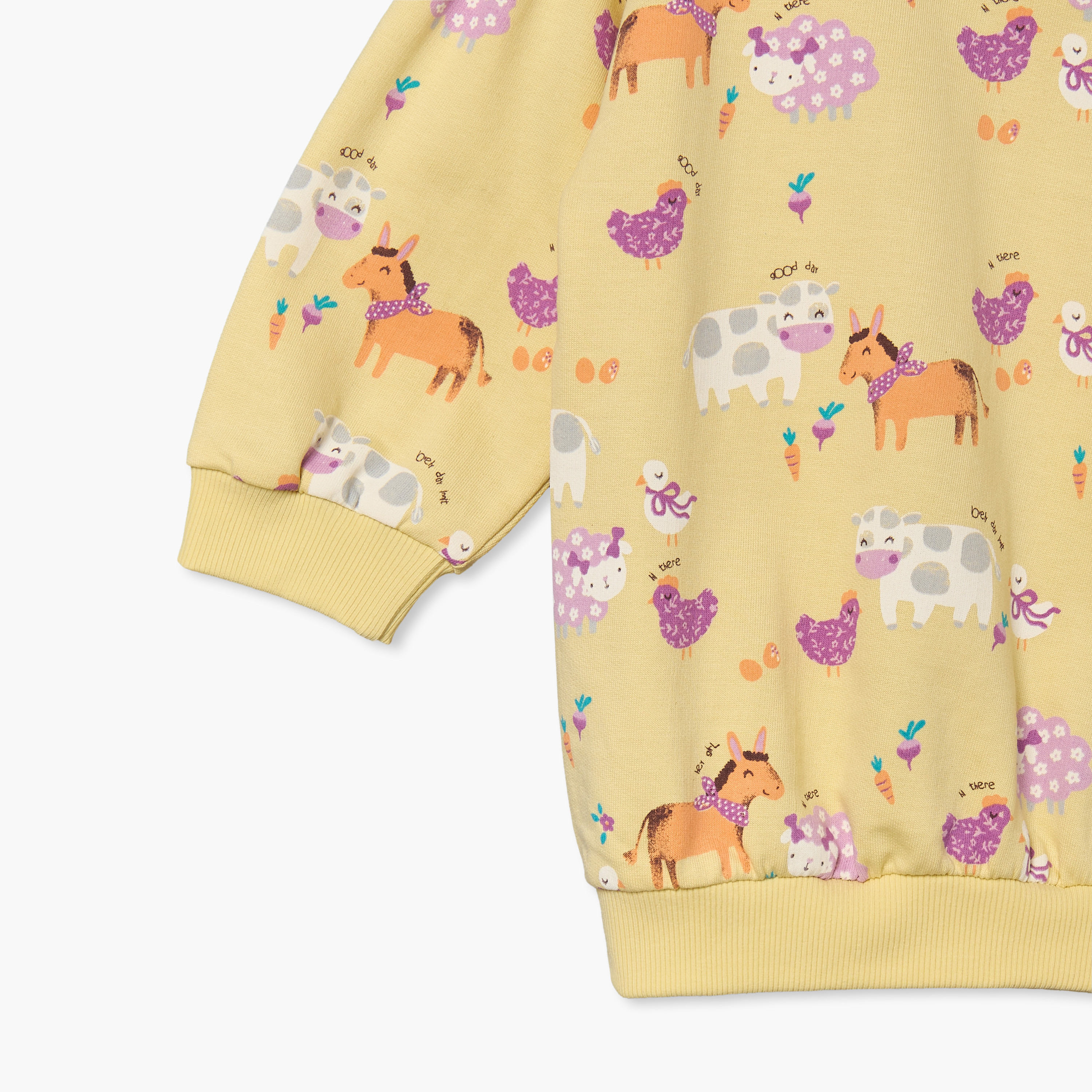 Juniors Crew Neck Long Sleeves Sweatshirt and Leggings Set with Floral Print-baby-girls-clothing-setsandcoords-image-7