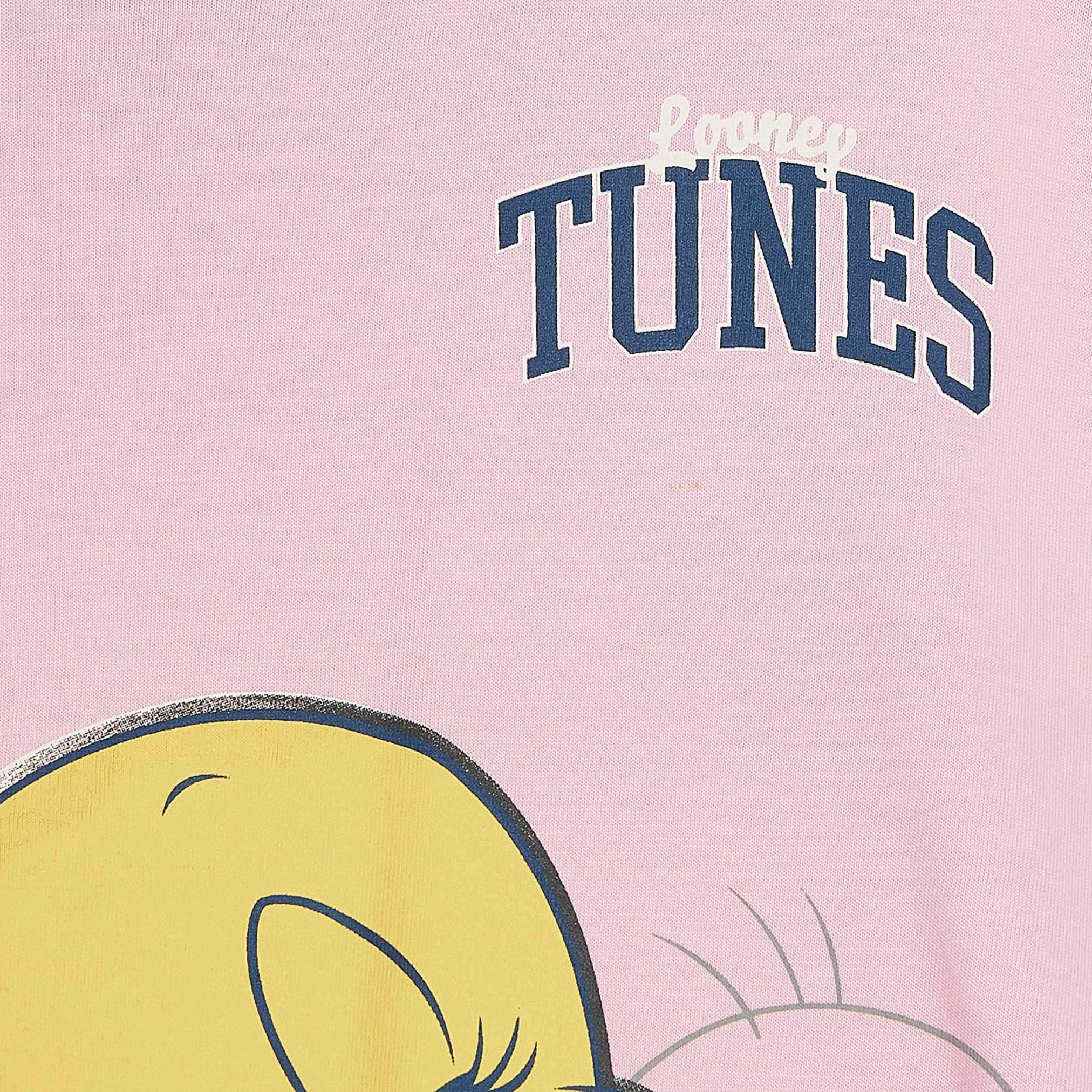 Crew Neck Long Sleeves T-shirt with Tweety Print-girls-clothing-tshirts-image-4