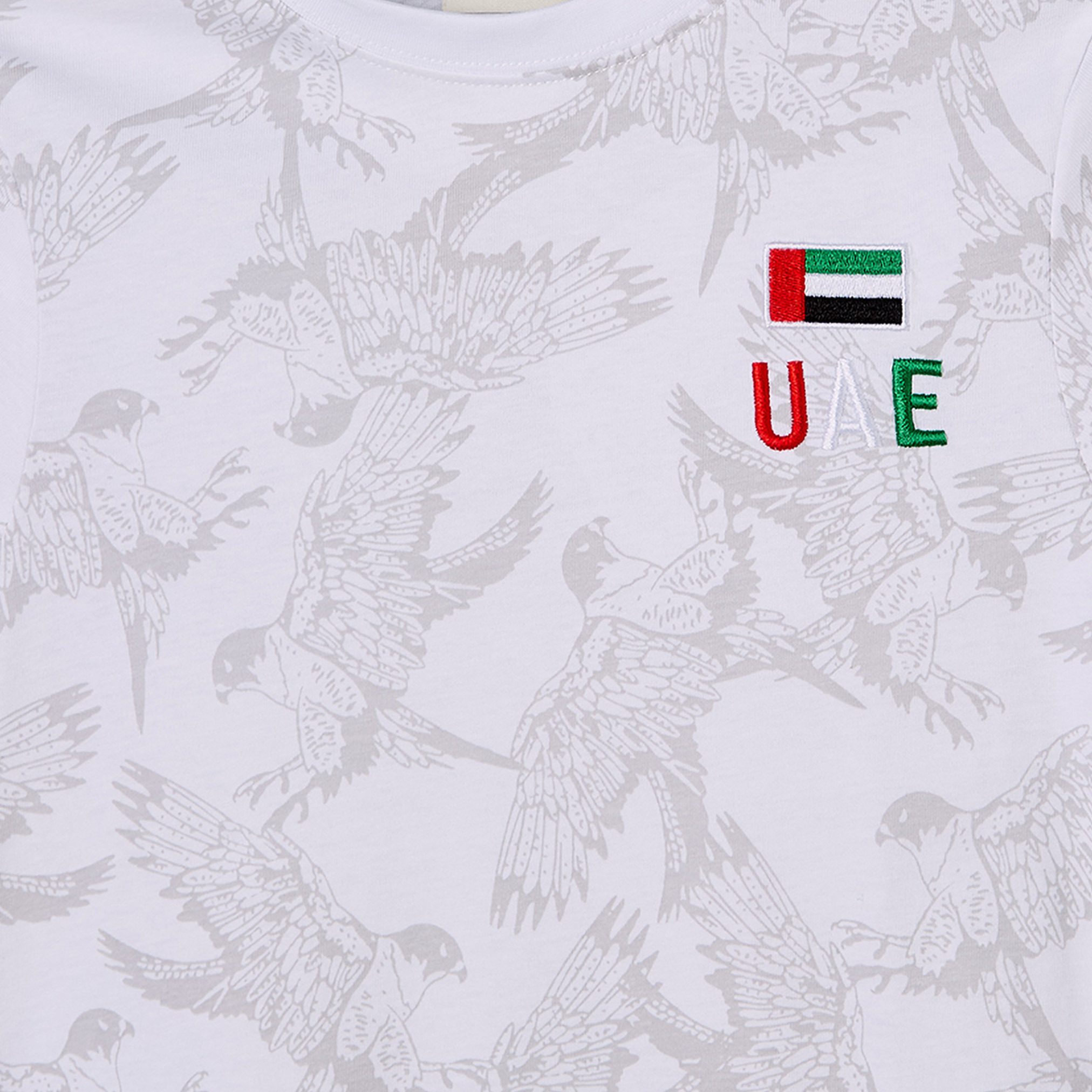 Juniors Crew Neck Short Sleeves T-shirt with UAE National Day Embroidery-boys-clothing-tshirtsandpolos-image-4