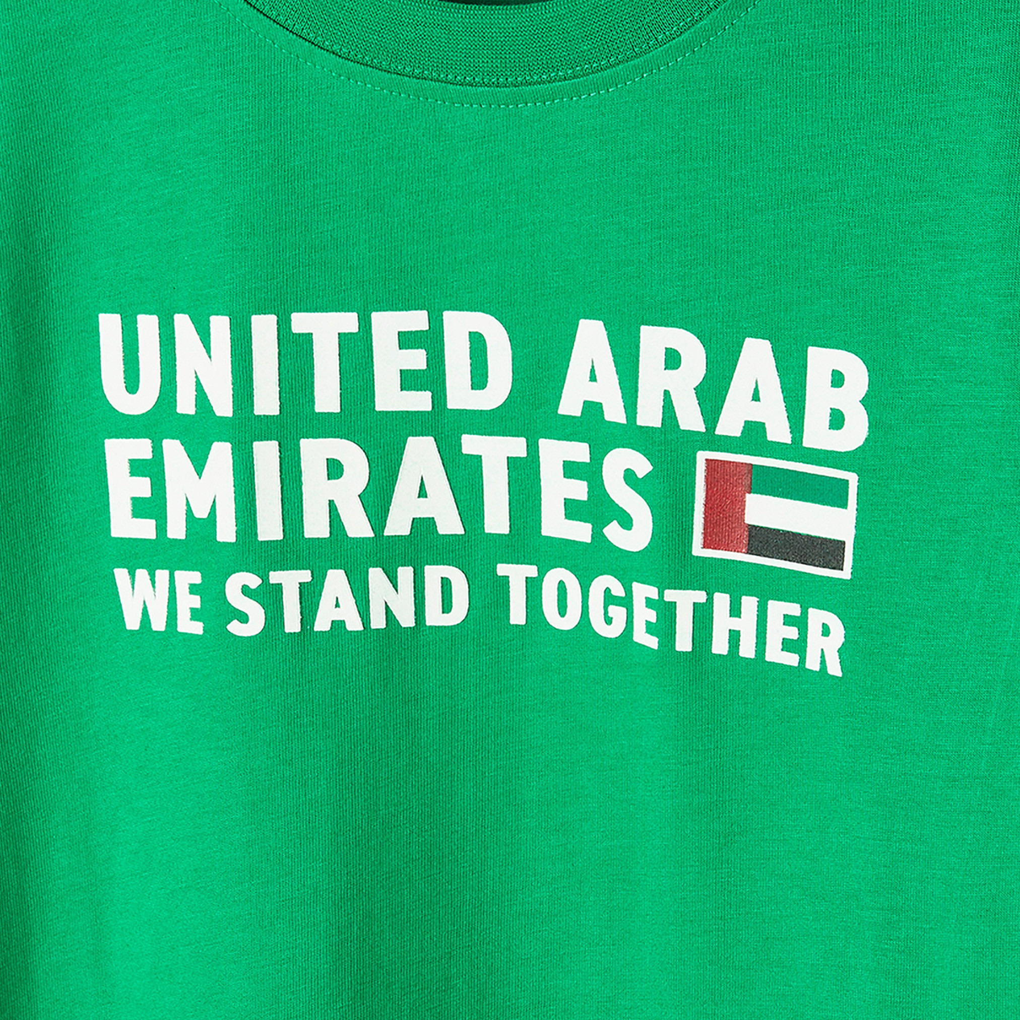 Juniors Crew Neck Short Sleeves T-shirt with UAE National Day Print-boys-clothing-tshirtsandpolos-image-4