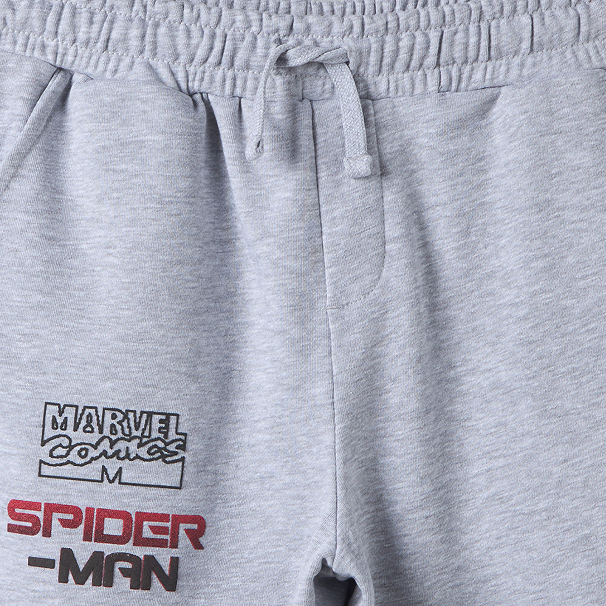 Crew Neck Long Sleeves Sweatshirt and Joggers Set with Spider-Man Print-boys-clothing-setsandcoords-image-6