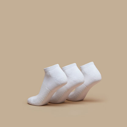 Gloo Solid Ankle Length Socks - Set of 3-Women%27s Socks-image-2