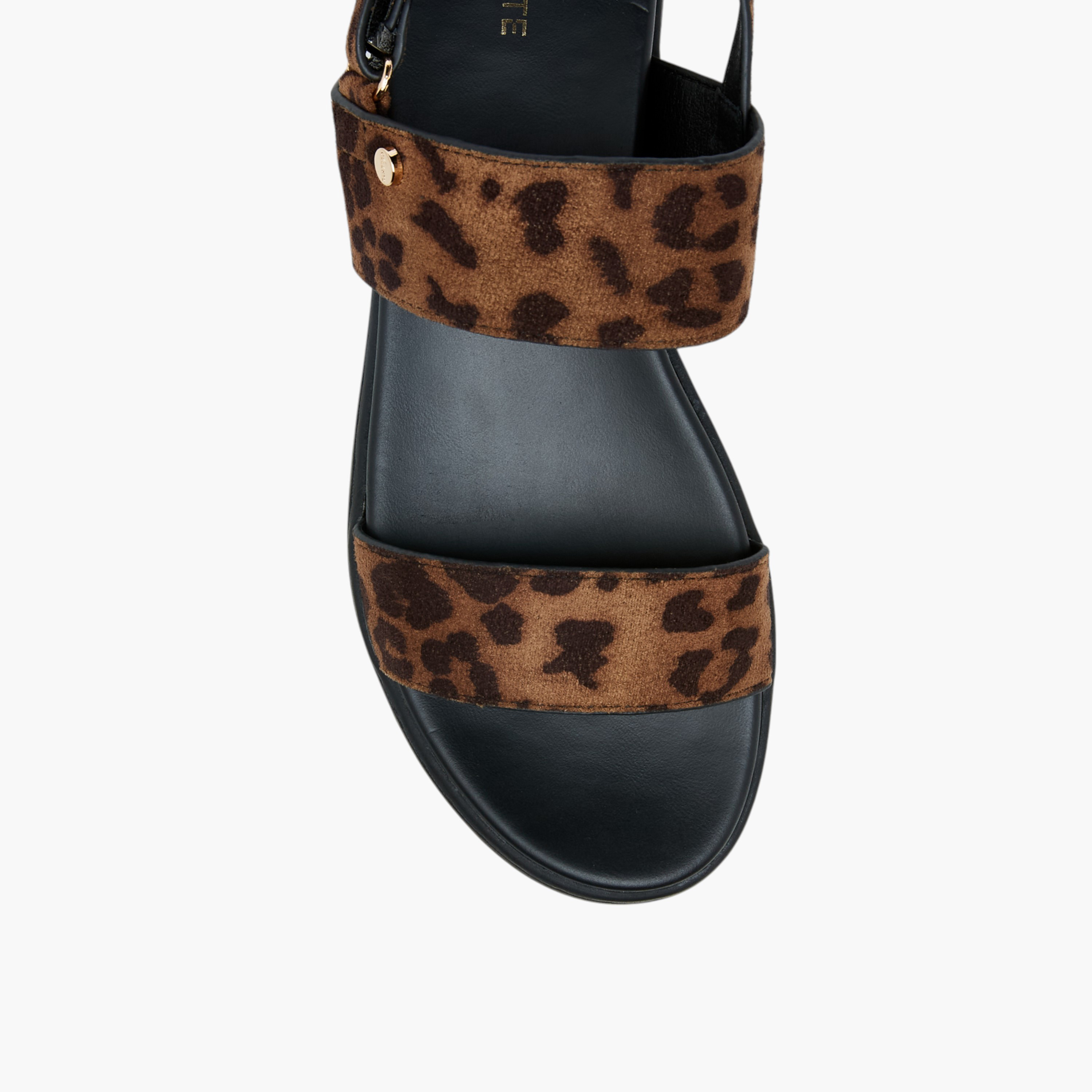 Celeste Women's Animal Print Sandals with Hook and Loop Closure-women-shoes-sandals-heeled-image-3