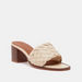 Weave Textured Open Toe Slip-On Sandals with Block Heels-Women%27s Heel Sandals-thumbnailMobile-1