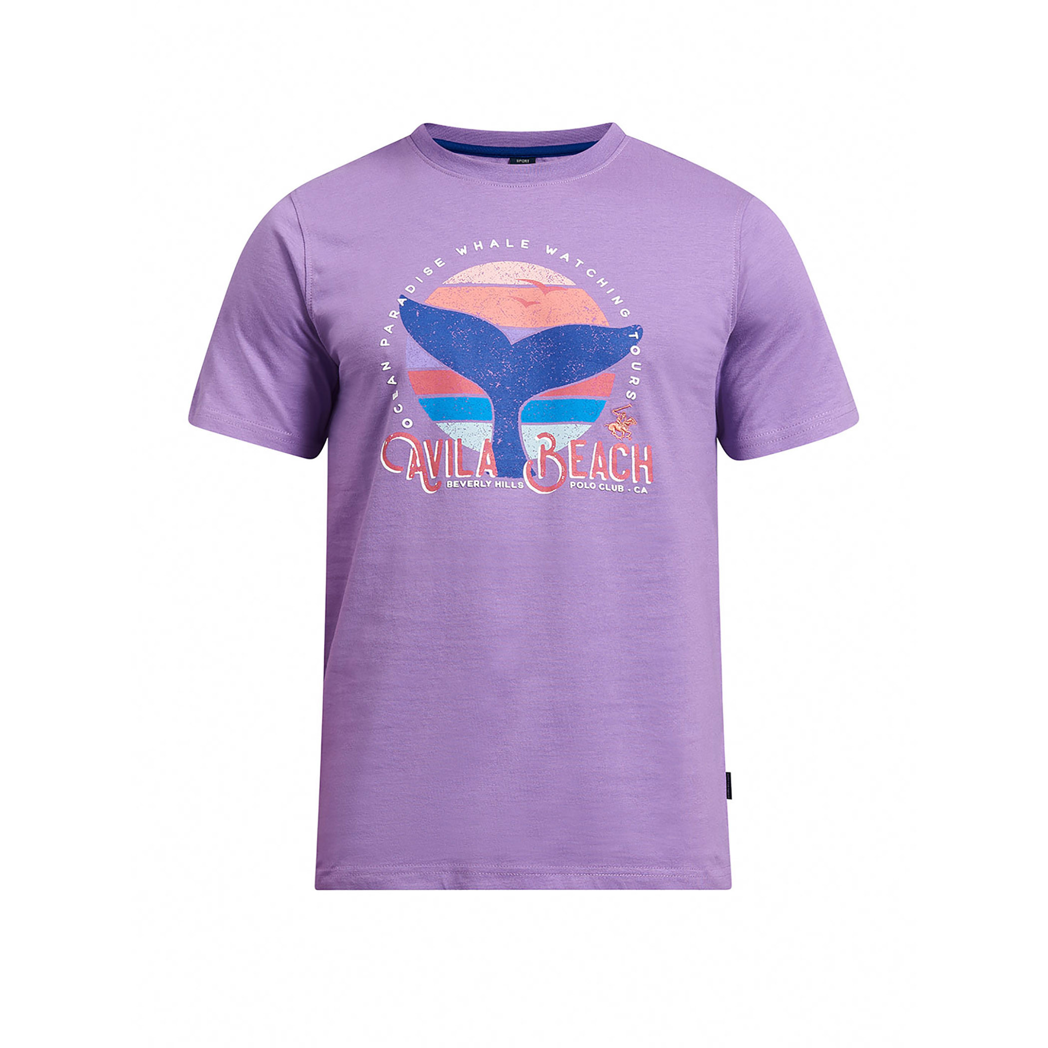 قميص بيفرلي هيلز بولو كلب أرجواني مطبوع بياقة مستديرة وأكمام قصيرة-men-clothing-tshirtsandpolos-tshirts-image-5