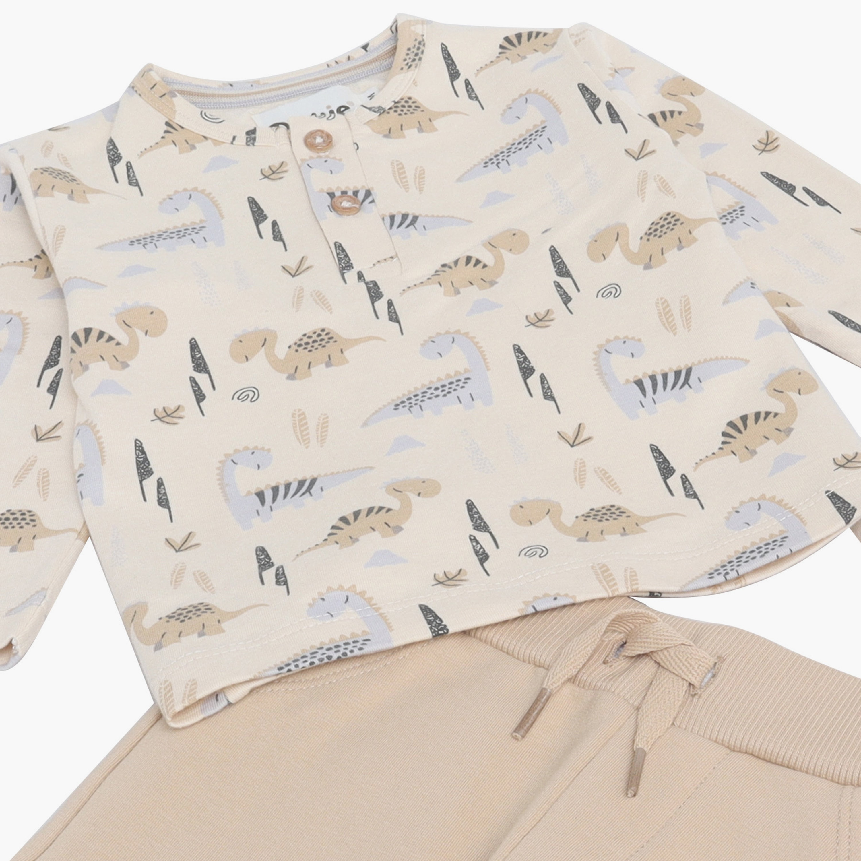 Dirkje Long Sleeves Dinosaur Printed T-Shirt & Joggers Pants Set-baby-boys-clothing-setsandcoords-image-7