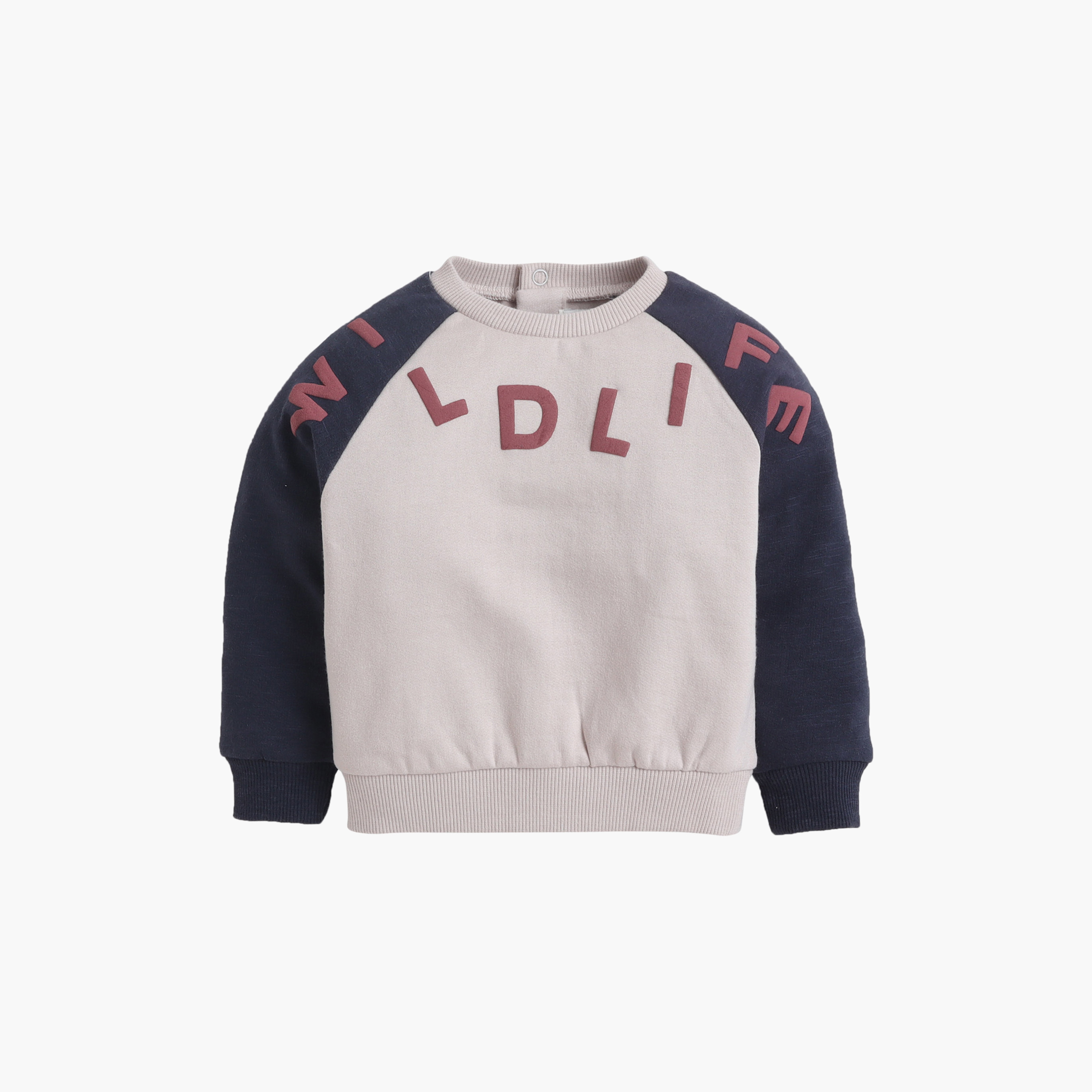 طقم سويت شيرت بأكمام طويلة وغرافيك حياة برية وبنطلون جوغر من ديركجي-baby-boys-clothing-setsandcoords-image-4