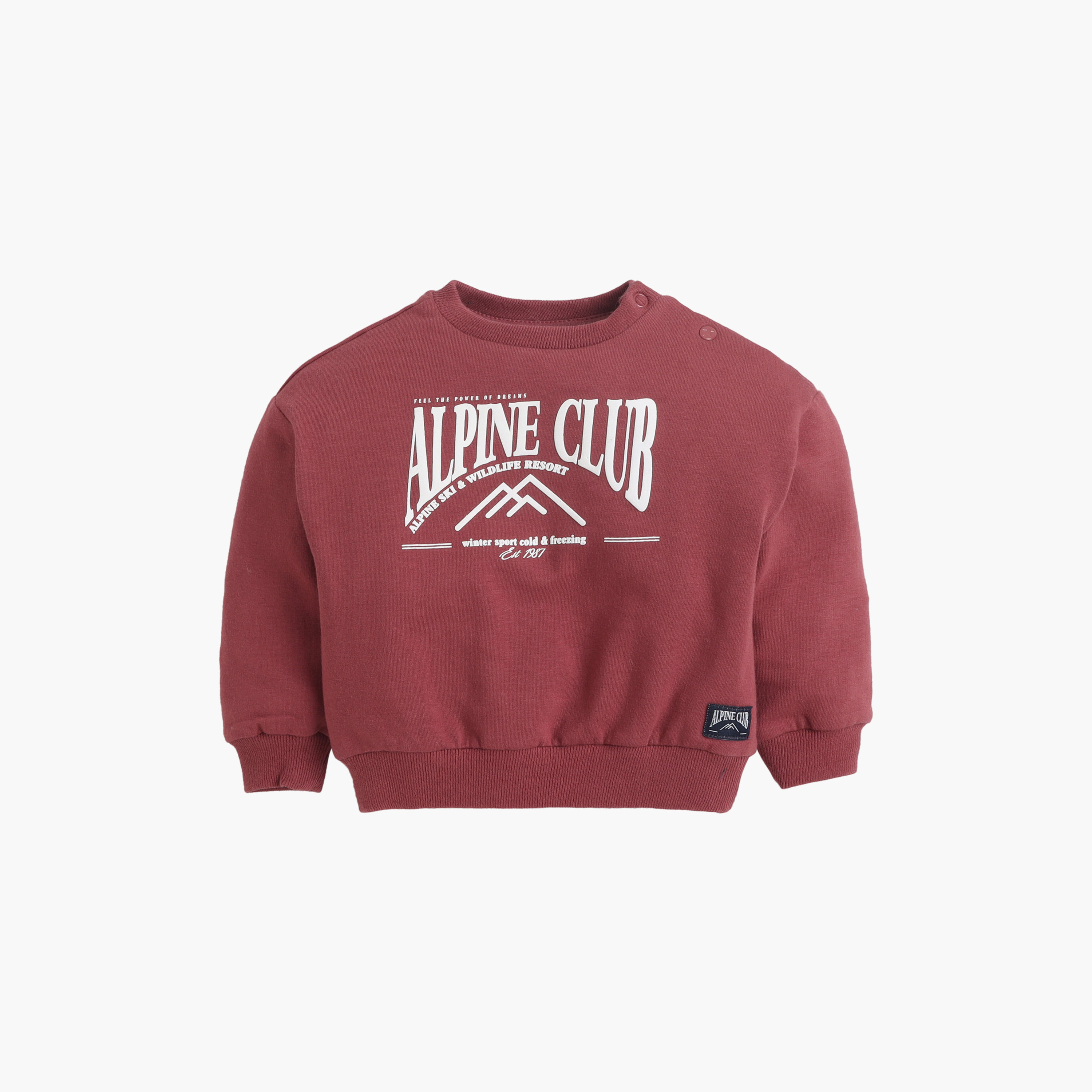 Dirkje Long Sleeves Alpine Club Printed Sweatshirt & Joggers Set-baby-boys-clothing-setsandcoords-image-4