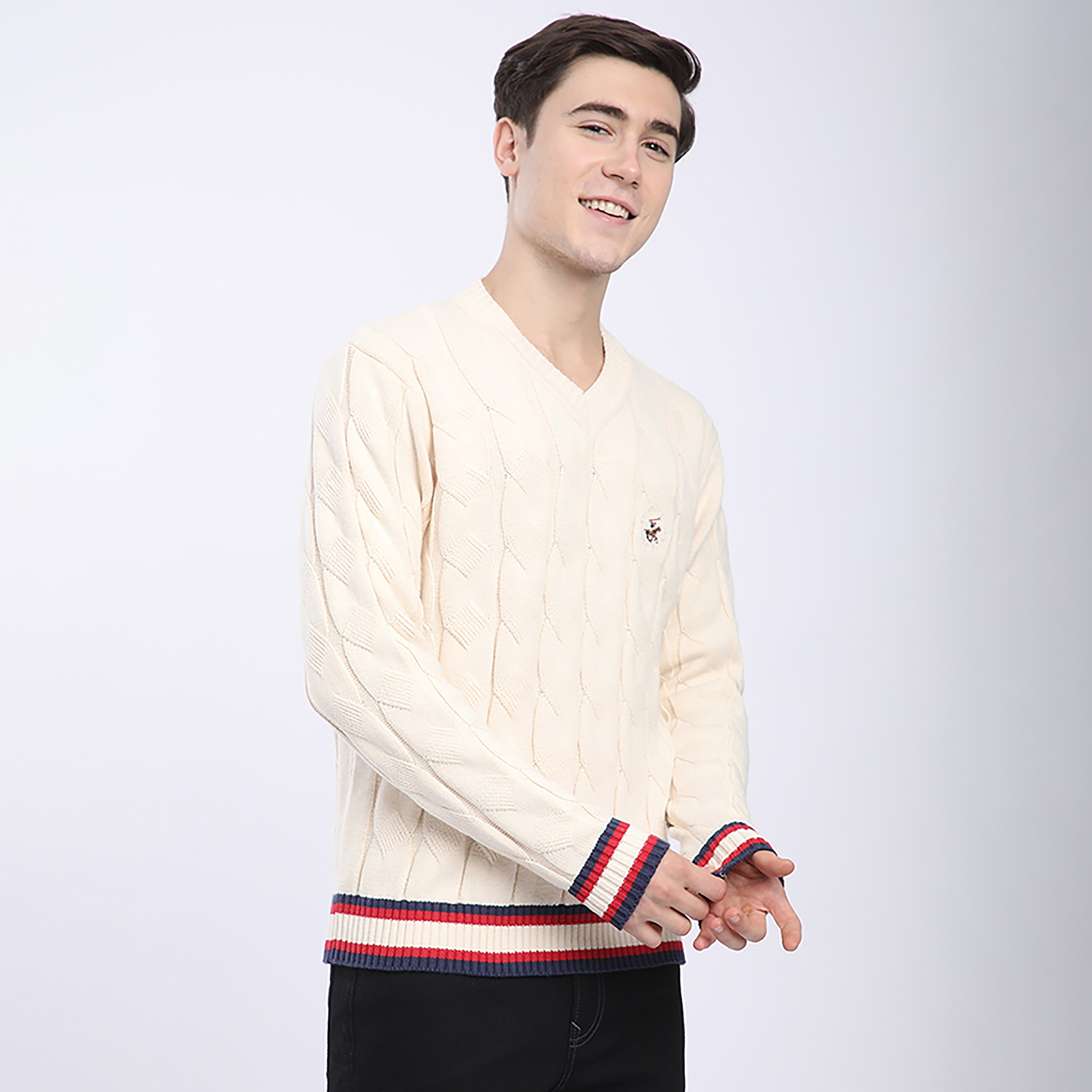 Beverly Hills Polo Club Cable Knitted V-Neck Long Sleeves Men's Pullover-men-clothing-sweatersandpullovers-image-4