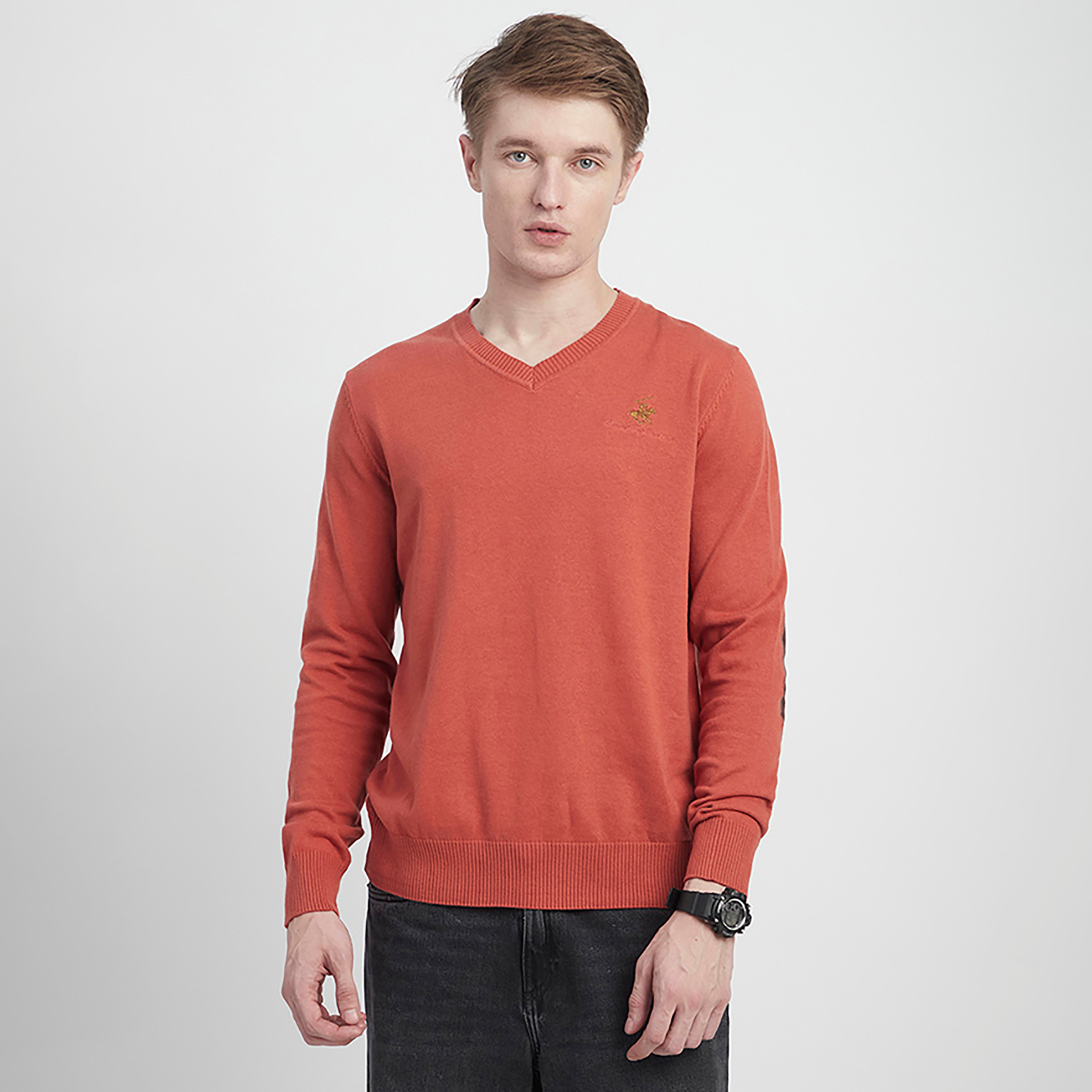كنزة صوفية رجالية سادة برقبة على شكل V وأكمام طويلة من بيفرلي هيلز بولو كلوب-men-clothing-sweatersandpullovers-image-1