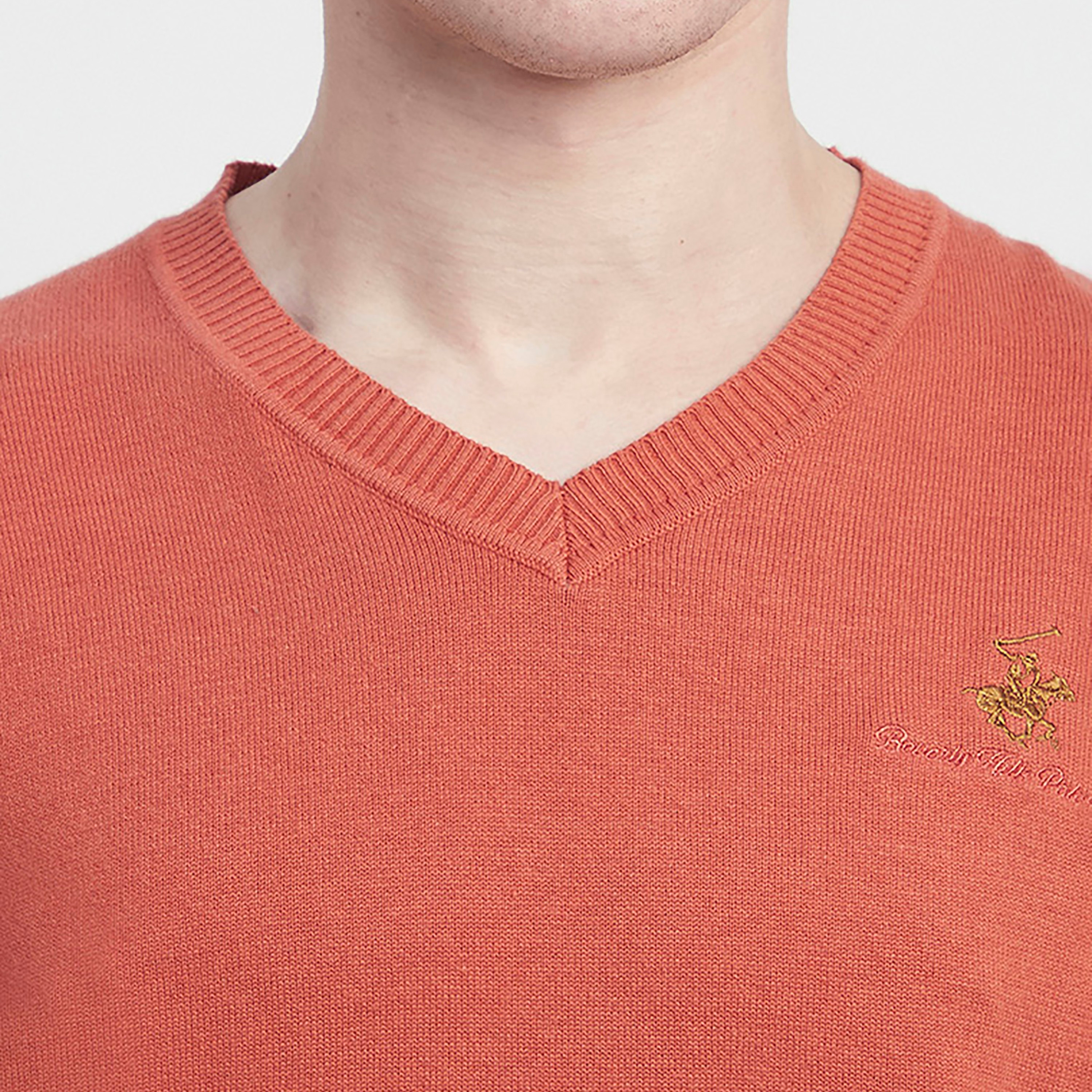 Beverly Hills Polo Club Plain V-Neck Long Sleeves Men's Pullover-men-clothing-sweatersandpullovers-image-3