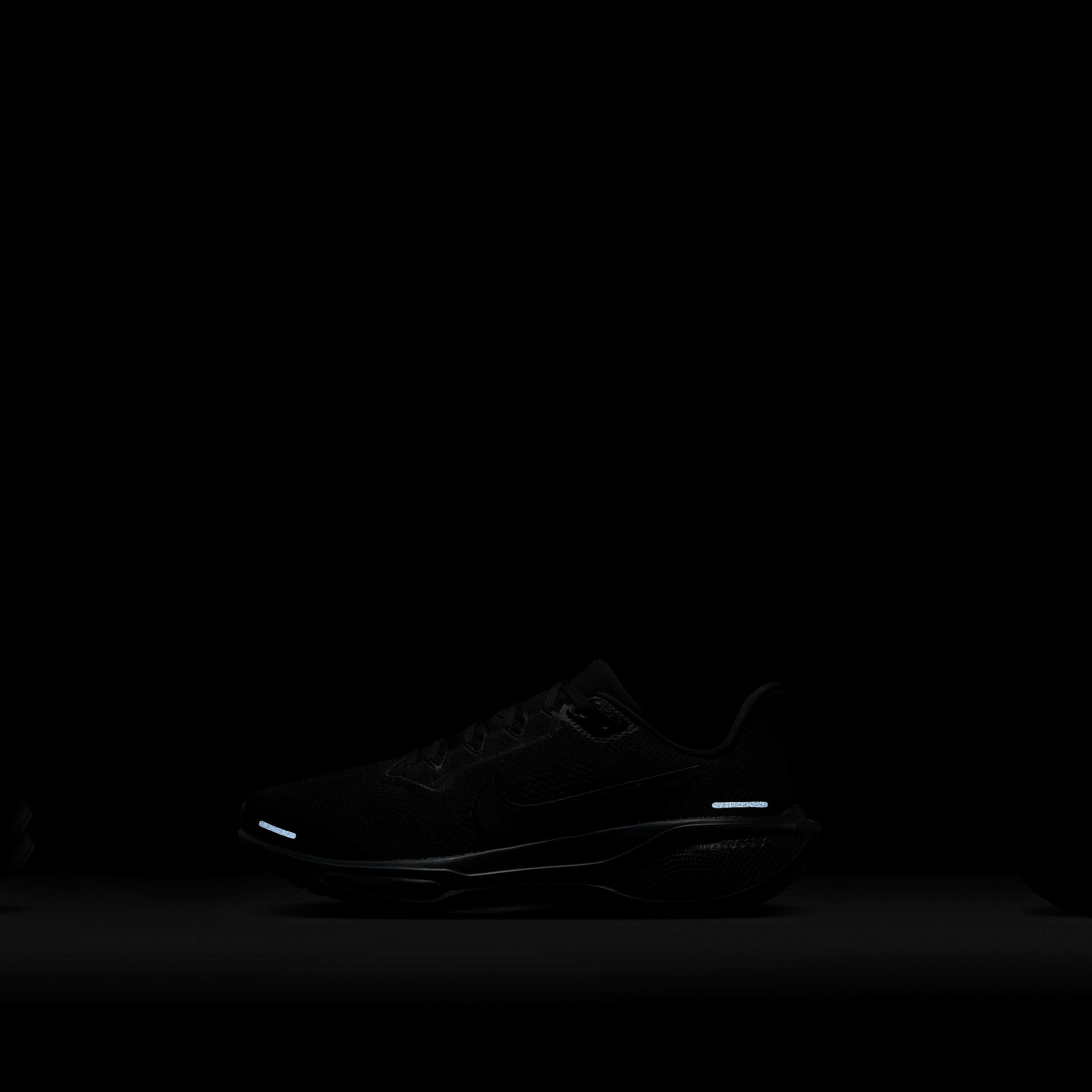 حذاء الجري نايكي بيغاسوس 41 برباط للرجال FD2722 | OE-sports-men-shoes-image-36
