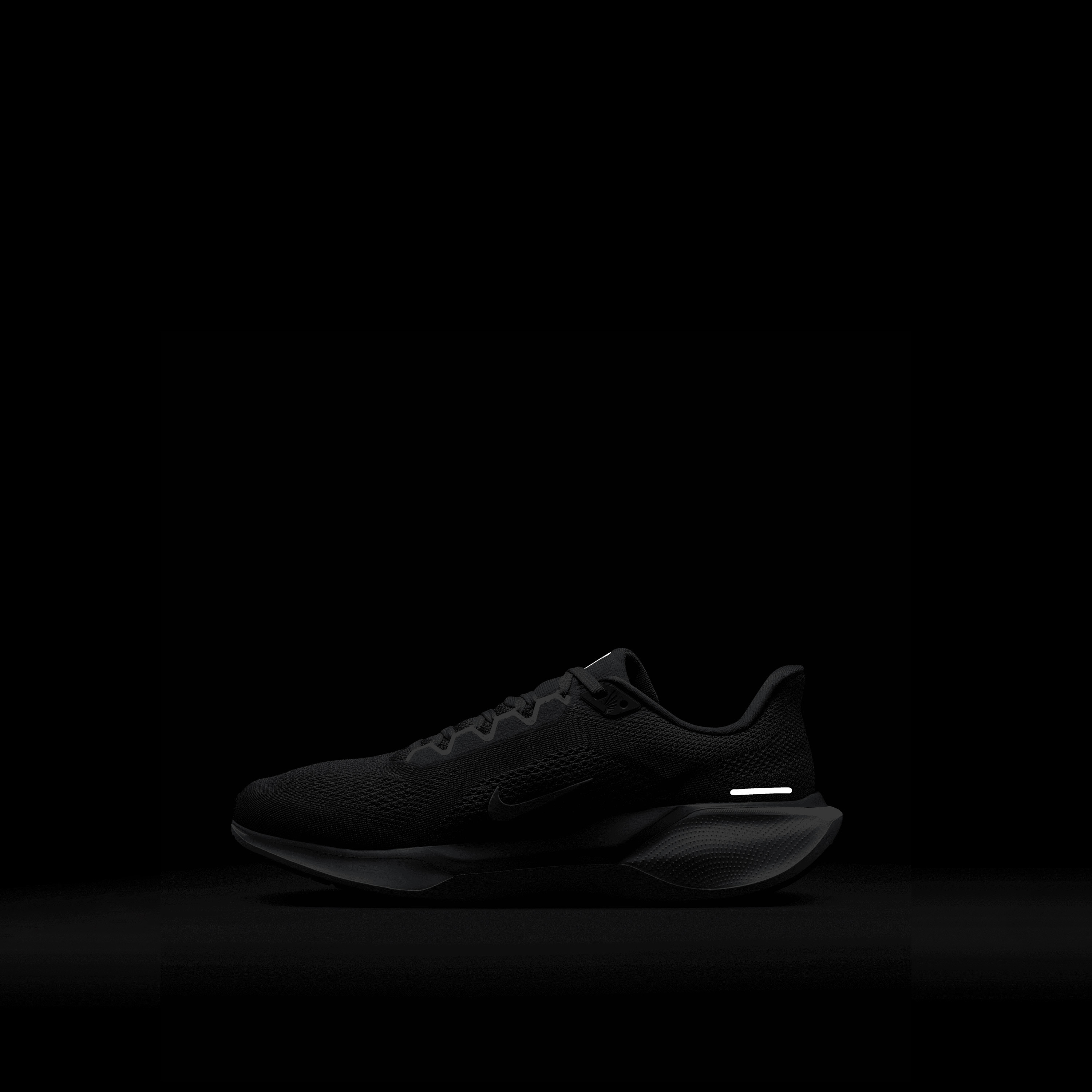 حذاء الجري نايكي بيغاسوس 41 برباط للرجال FD2722 | OE-sports-men-shoes-image-12