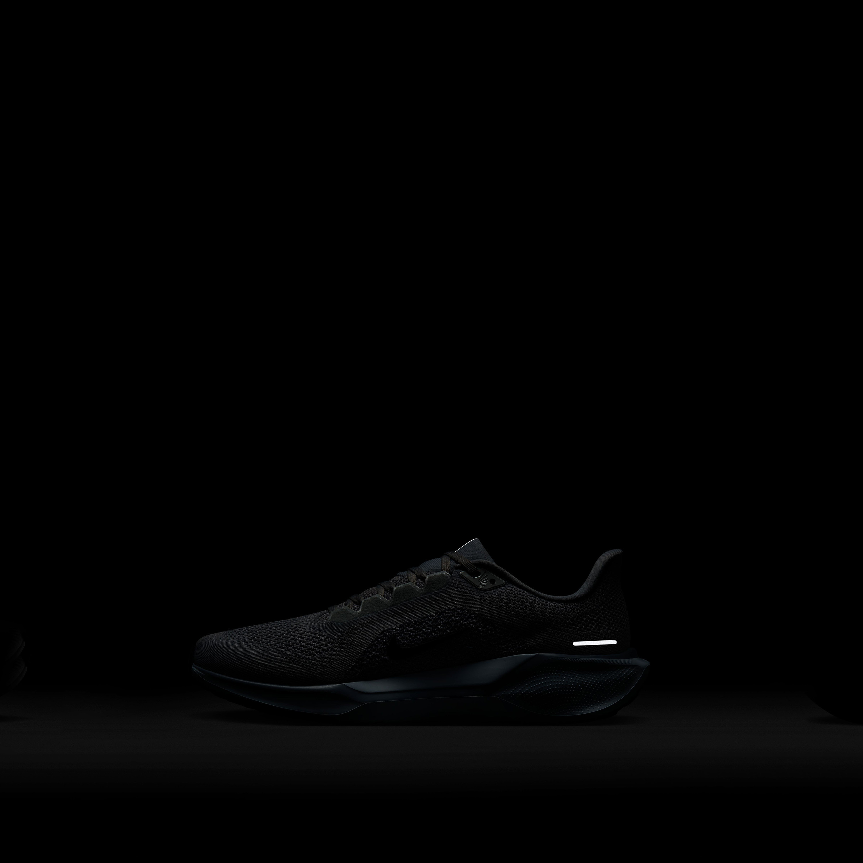 حذاء الجري نايكي بيغاسوس 41 برباط للرجال FD2722 | OE-sports-men-shoes-image-62