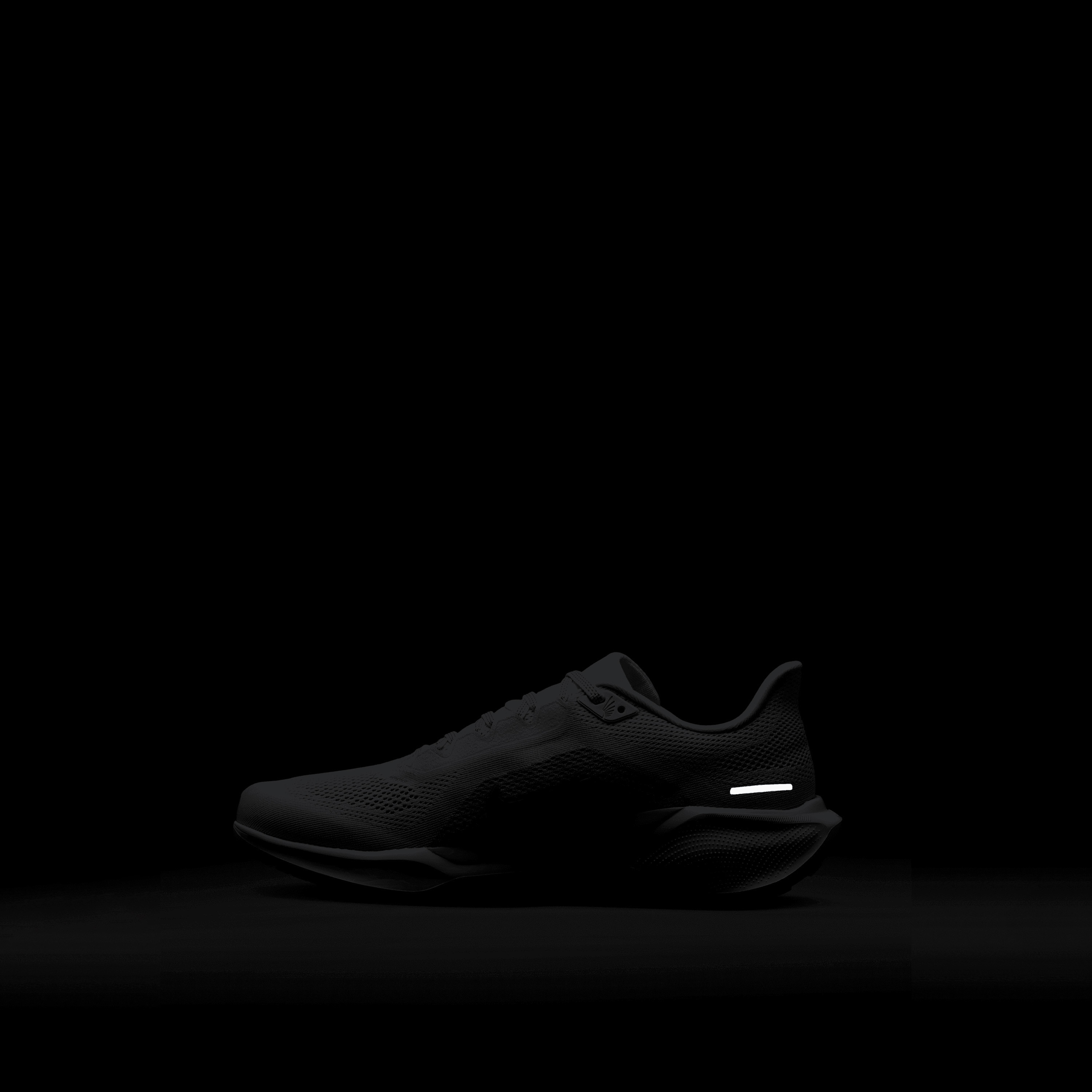 حذاء الجري نايكي بيغاسوس 41 برباط للرجال FD2722 | OE-sports-men-shoes-image-24