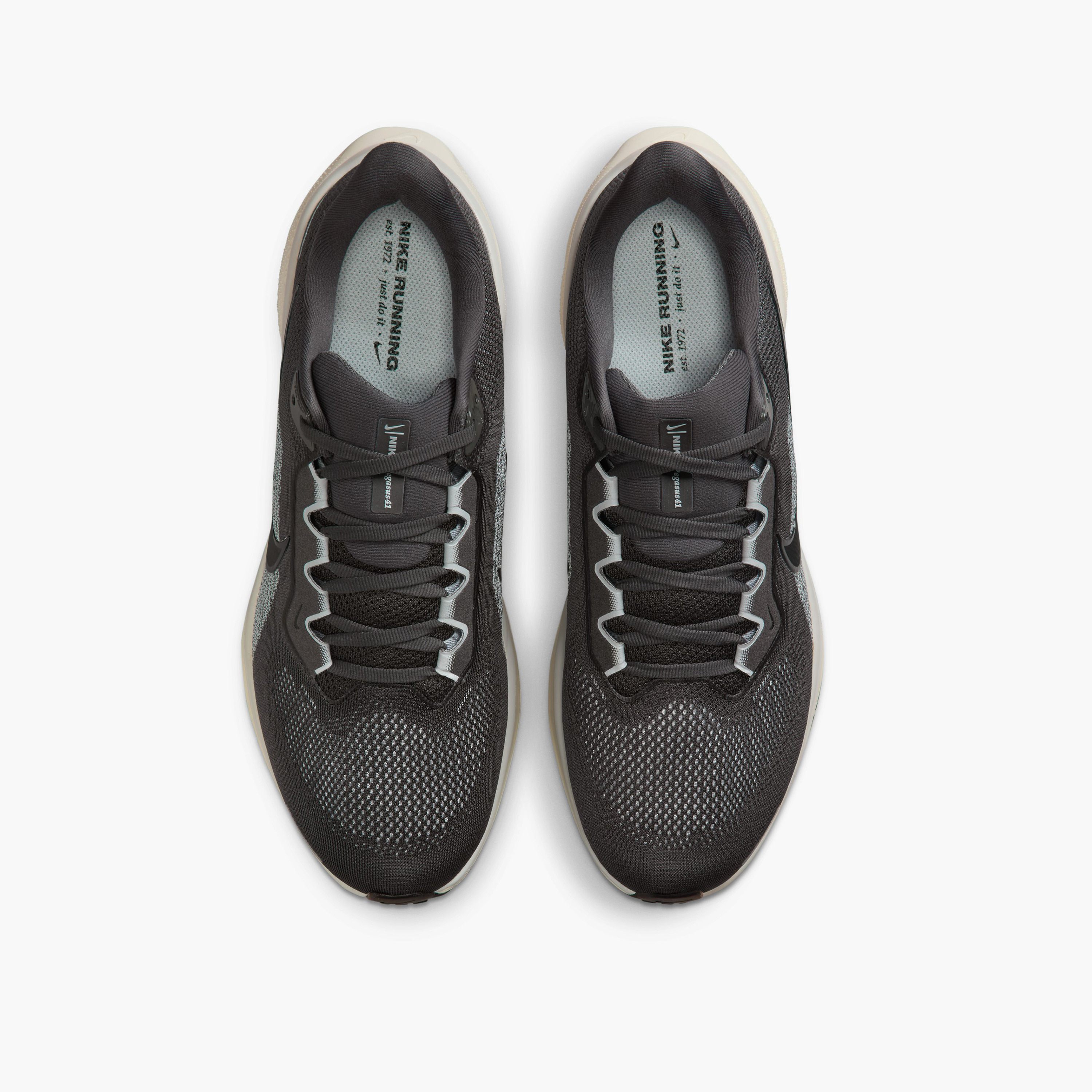 حذاء الجري نايكي بيغاسوس 41 برباط للرجال FD2722 | OE-sports-men-shoes-image-79
