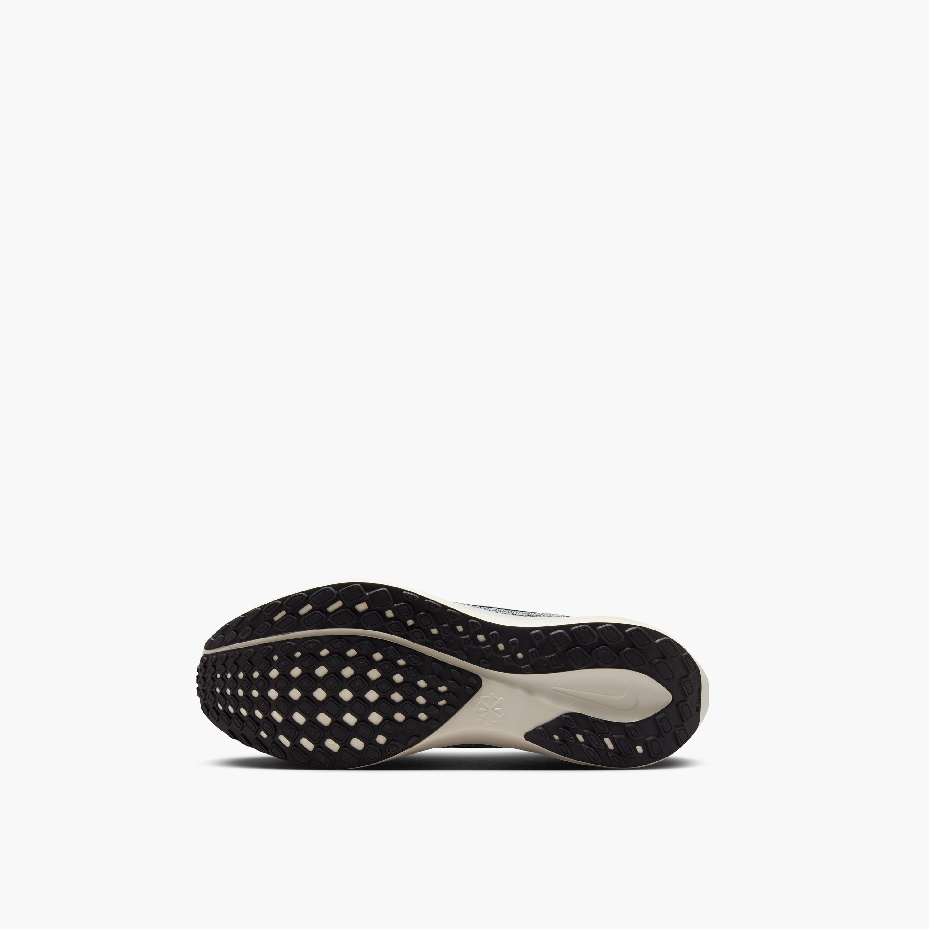 حذاء الجري نايكي بيغاسوس 41 برباط للرجال FD2722 | OE-sports-men-shoes-image-81
