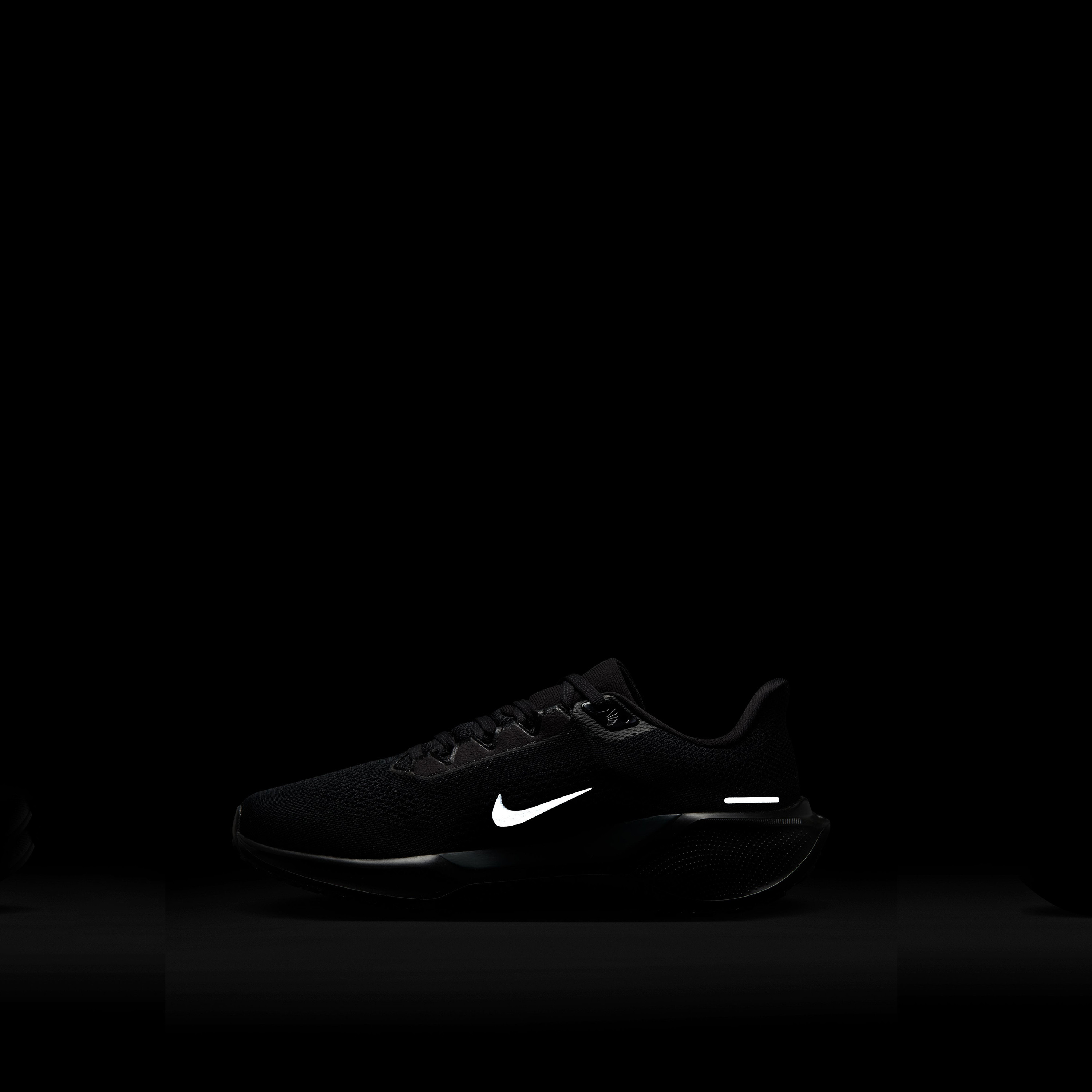 حذاء الجري نايكي بيغاسوس 41 برباط للنساء FD2723 | OE-sports-women-shoes-image-36