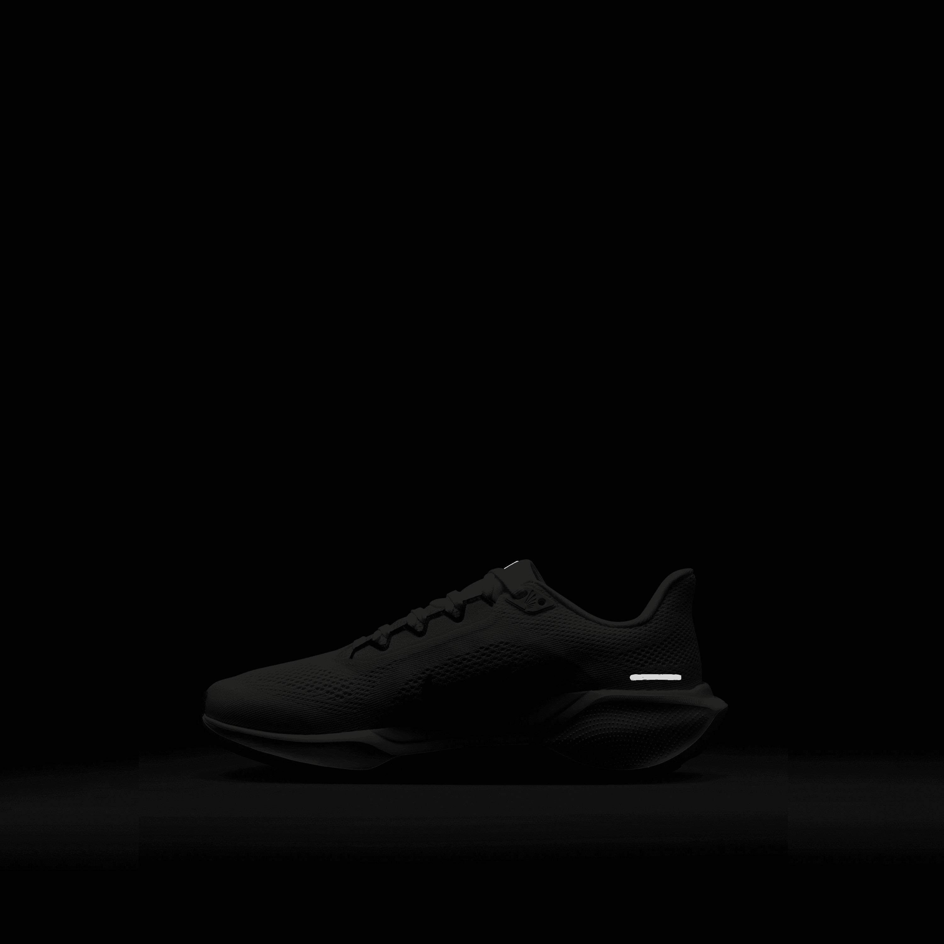 حذاء الجري نايكي بيغاسوس 41 برباط للنساء FD2723 | OE-sports-women-shoes-image-21