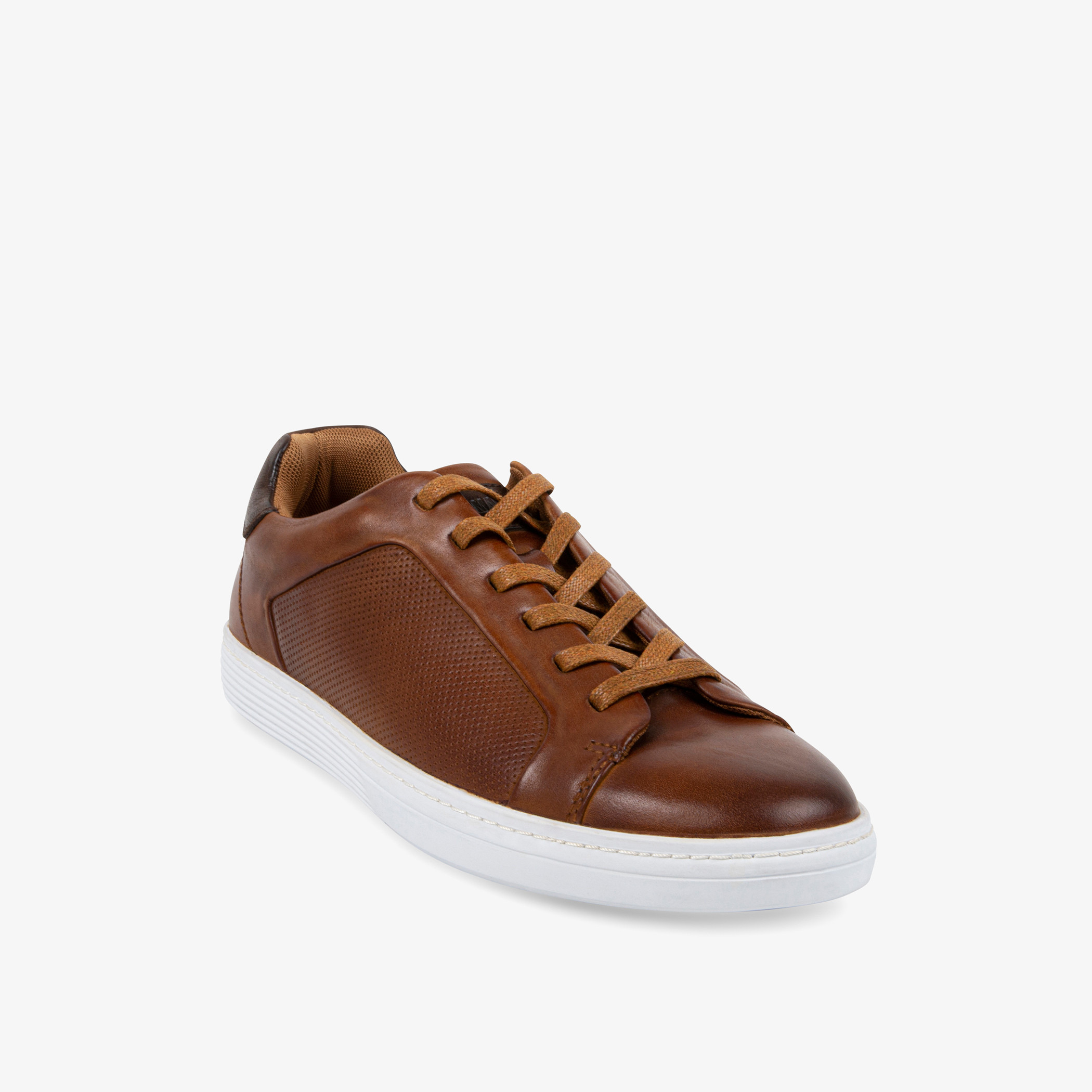 Steve madden shop mens sneakers