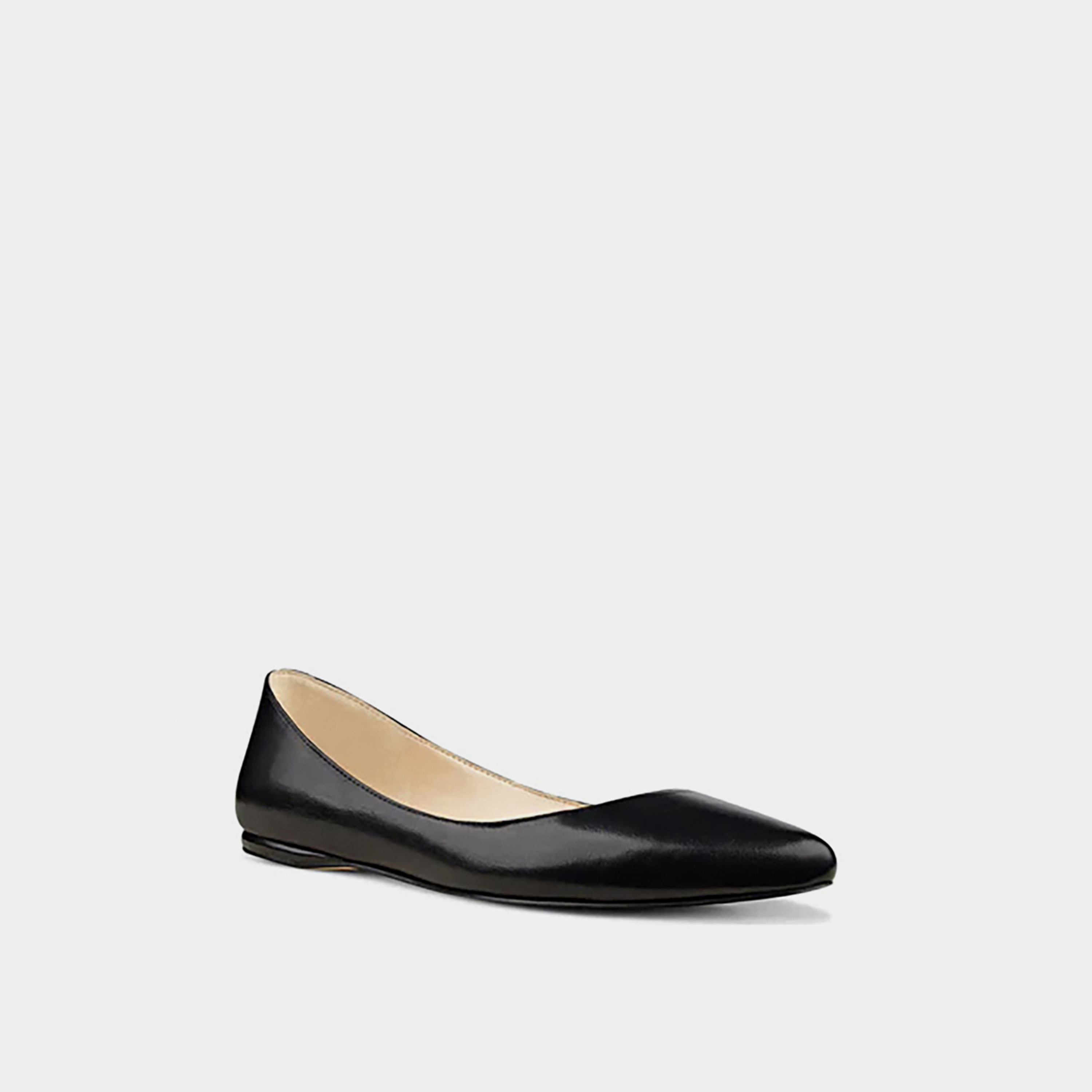Nine West Women's Slip On Nwspeakup Pointed Toe Ballerinas | NWSPEAKUP-women-shoes-ballerinas-image-1