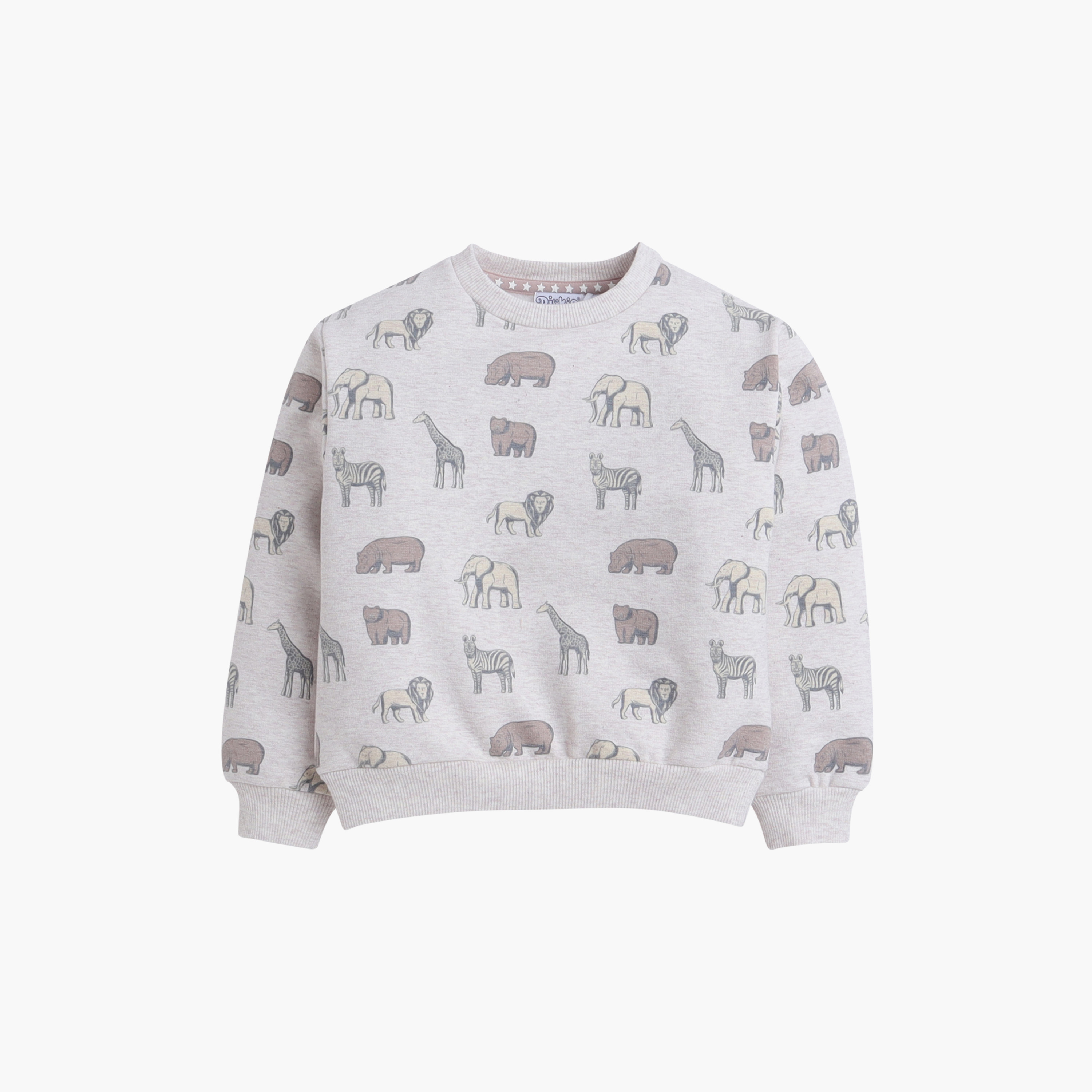 Dirkje 2-Piece Safari Printed Sweatshirt with Pants-boys-clothing-setsandcoords-image-3