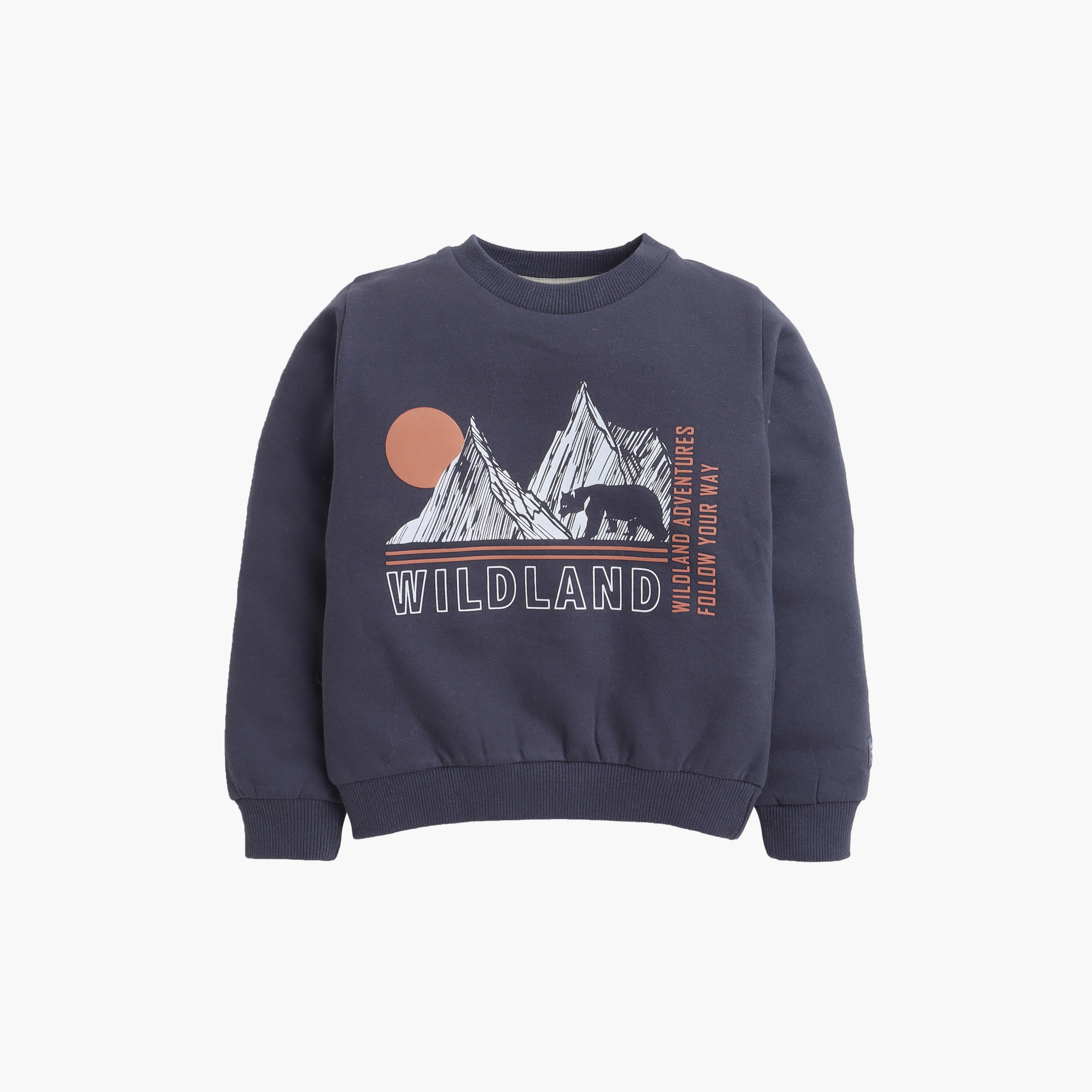 Dirkje 2-Piece Wildland Printed Sweatshirt & Jogger Sets-baby-boys-clothing-winterwear-setsandcoords-image-3