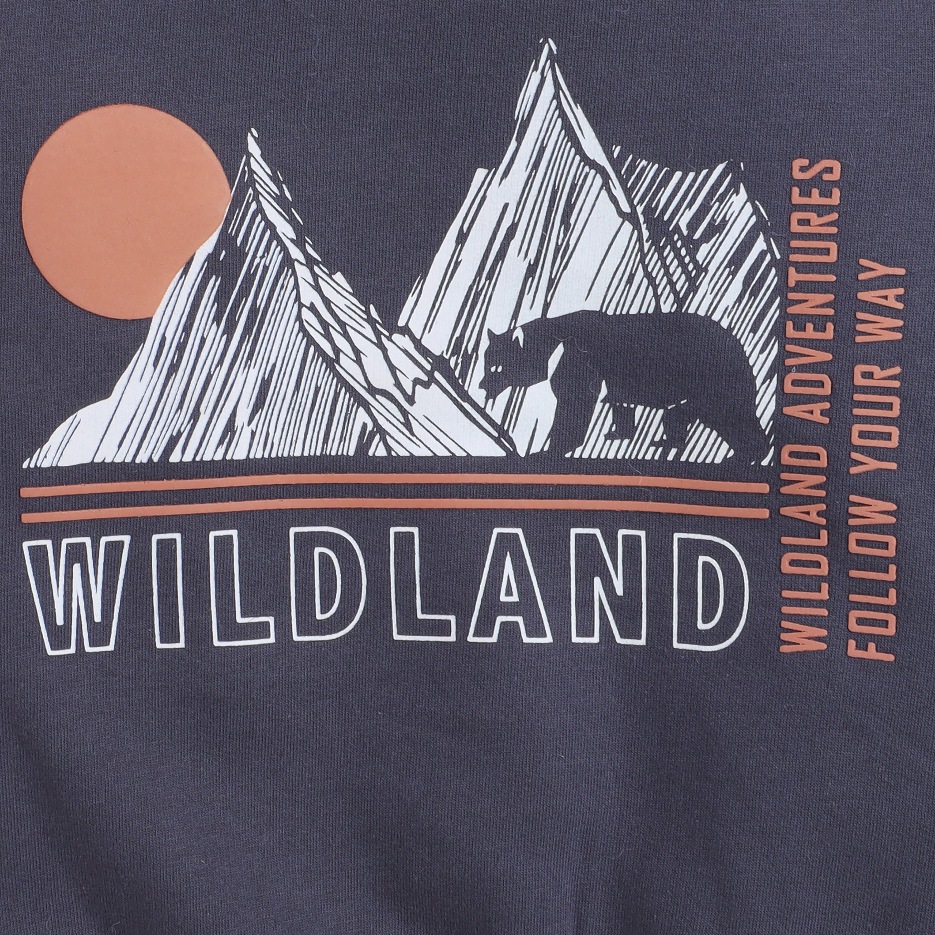 Dirkje 2-Piece Wildland Printed Sweatshirt & Jogger Sets-baby-boys-clothing-winterwear-setsandcoords-image-6