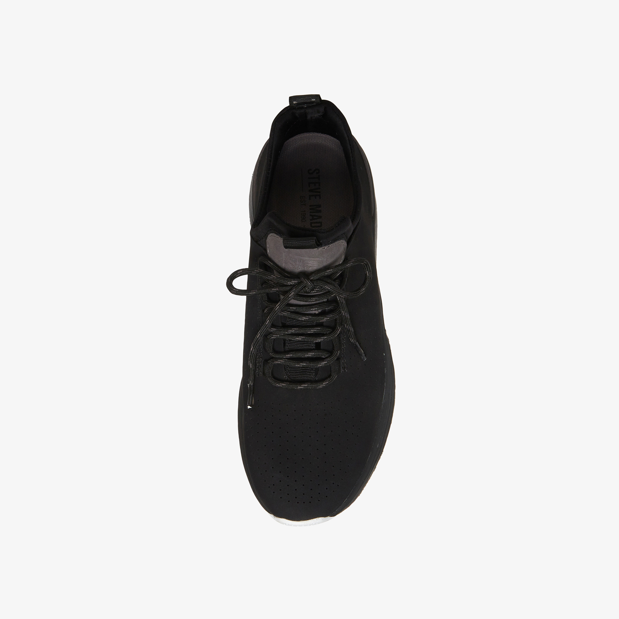 Steve madden hot sale casual sneakers