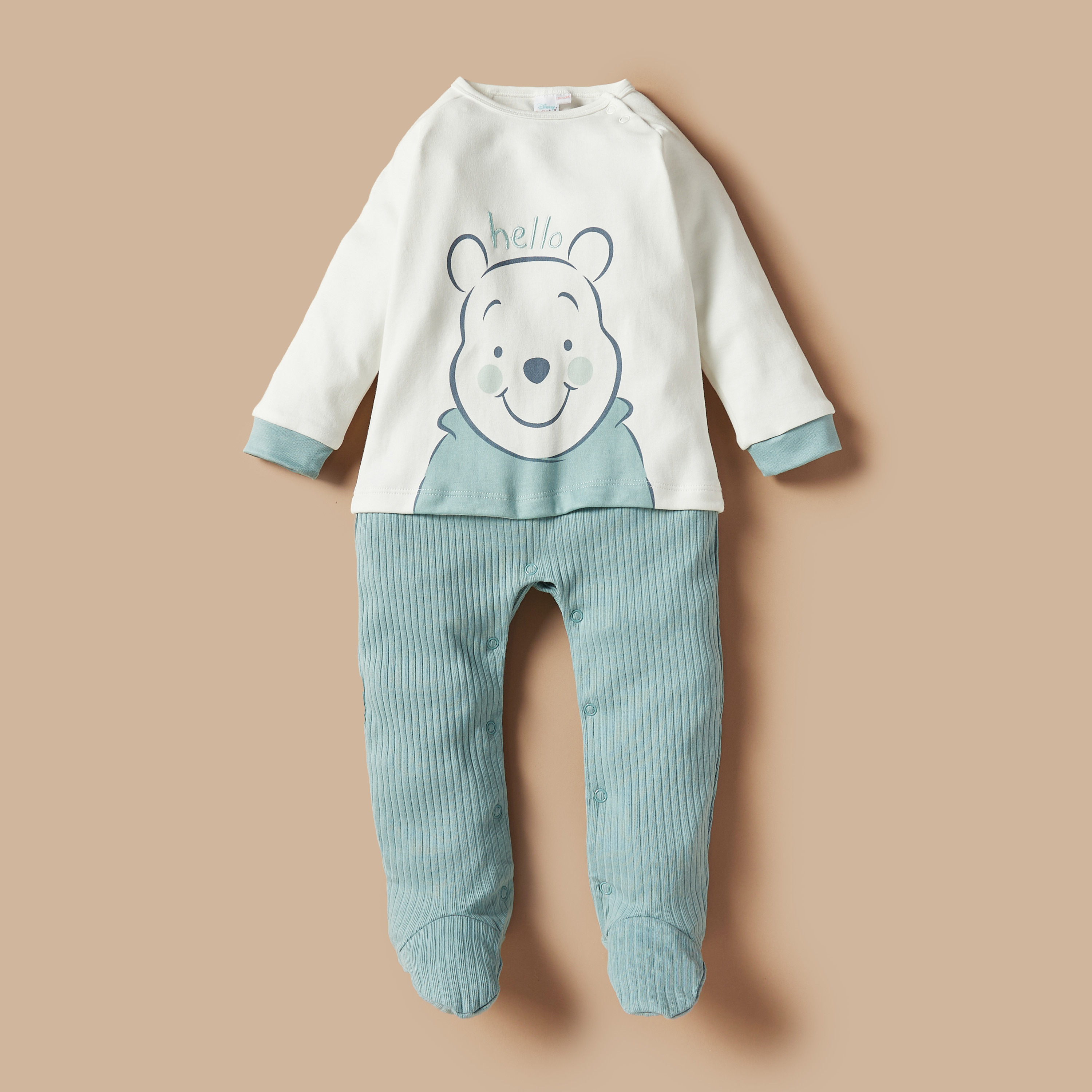 Winnie the pooh baby hot sale gear