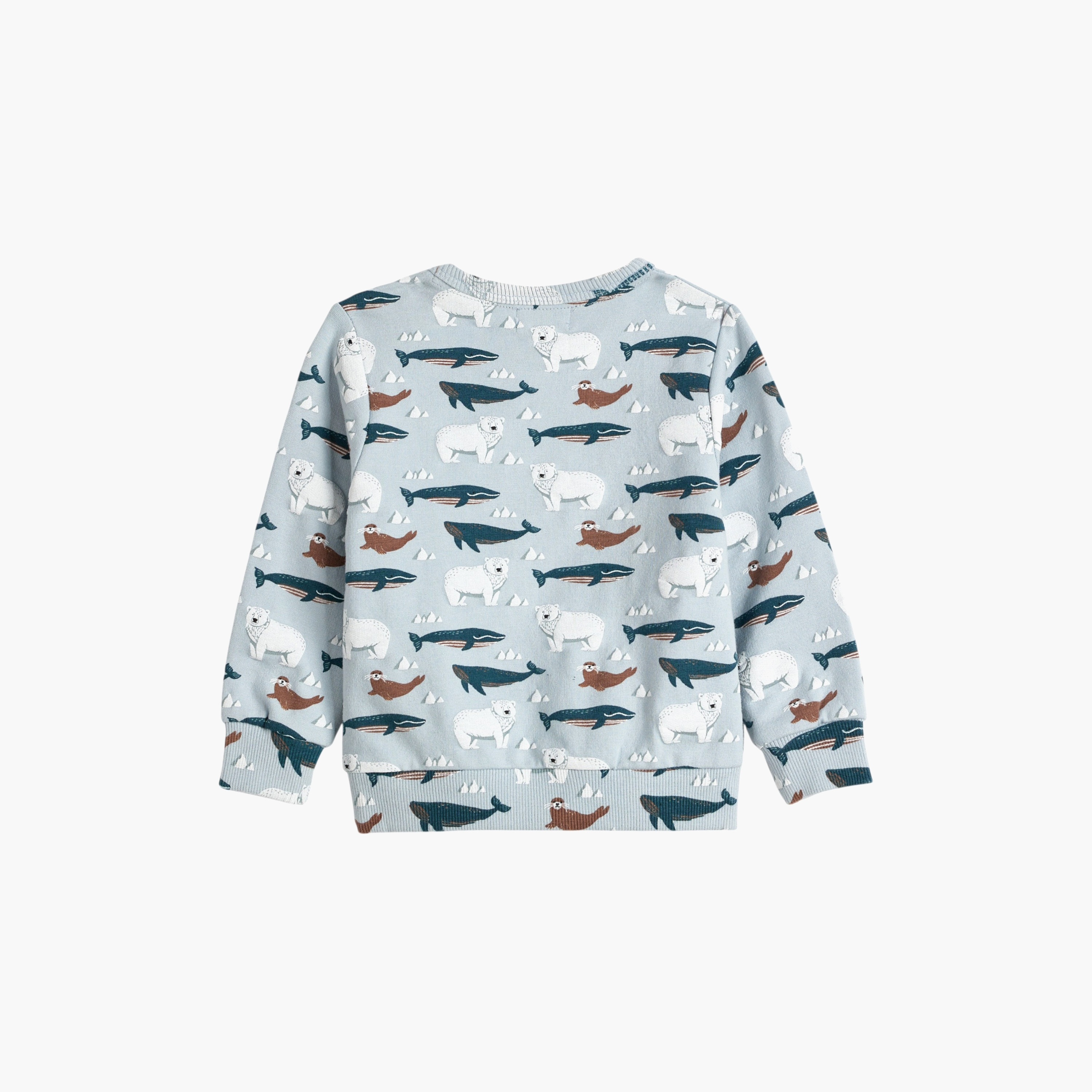 Dirkje 2-Piece Printed Long Sleeves Sweatshirt with Pants-baby-boys-clothing-winterwear-setsandcoords-image-5