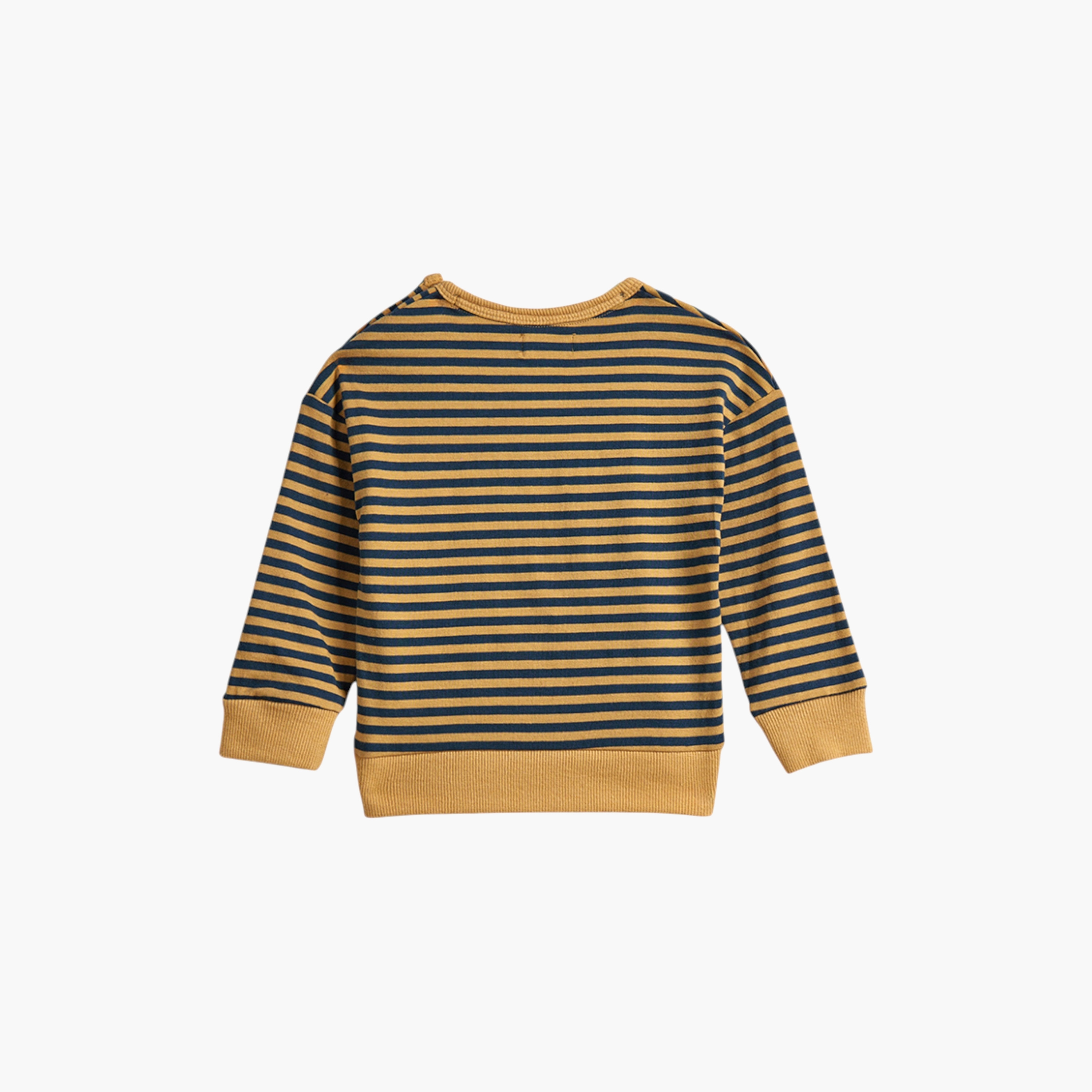 Dirkje 2-Piece Striped Long Sleeves Sweatshirt with Pants-baby-boys-clothing-winterwear-setsandcoords-image-6