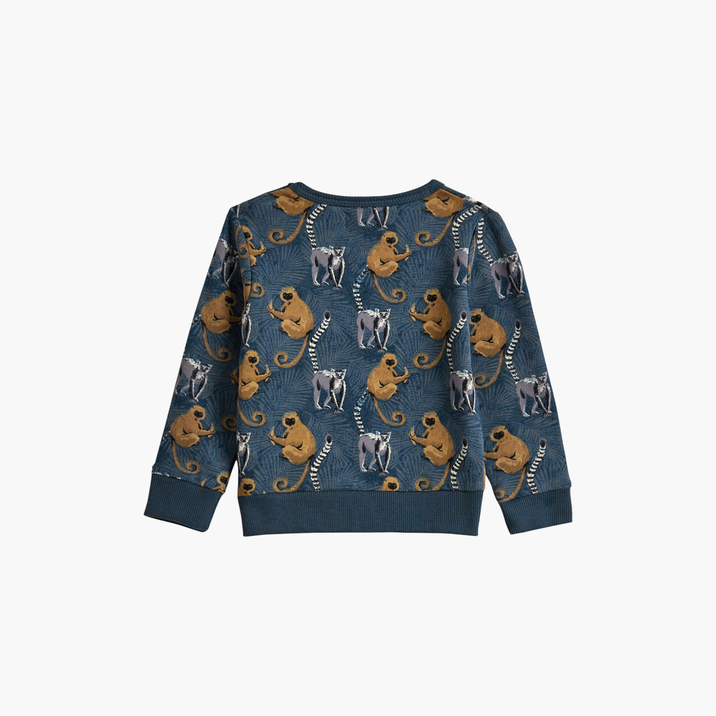 سويت شيرت مطبوع بأكمام طويلة وبنطلون قطعتين من ديركجي-cpkids-clothing-boys-winterwear-sets-image-5