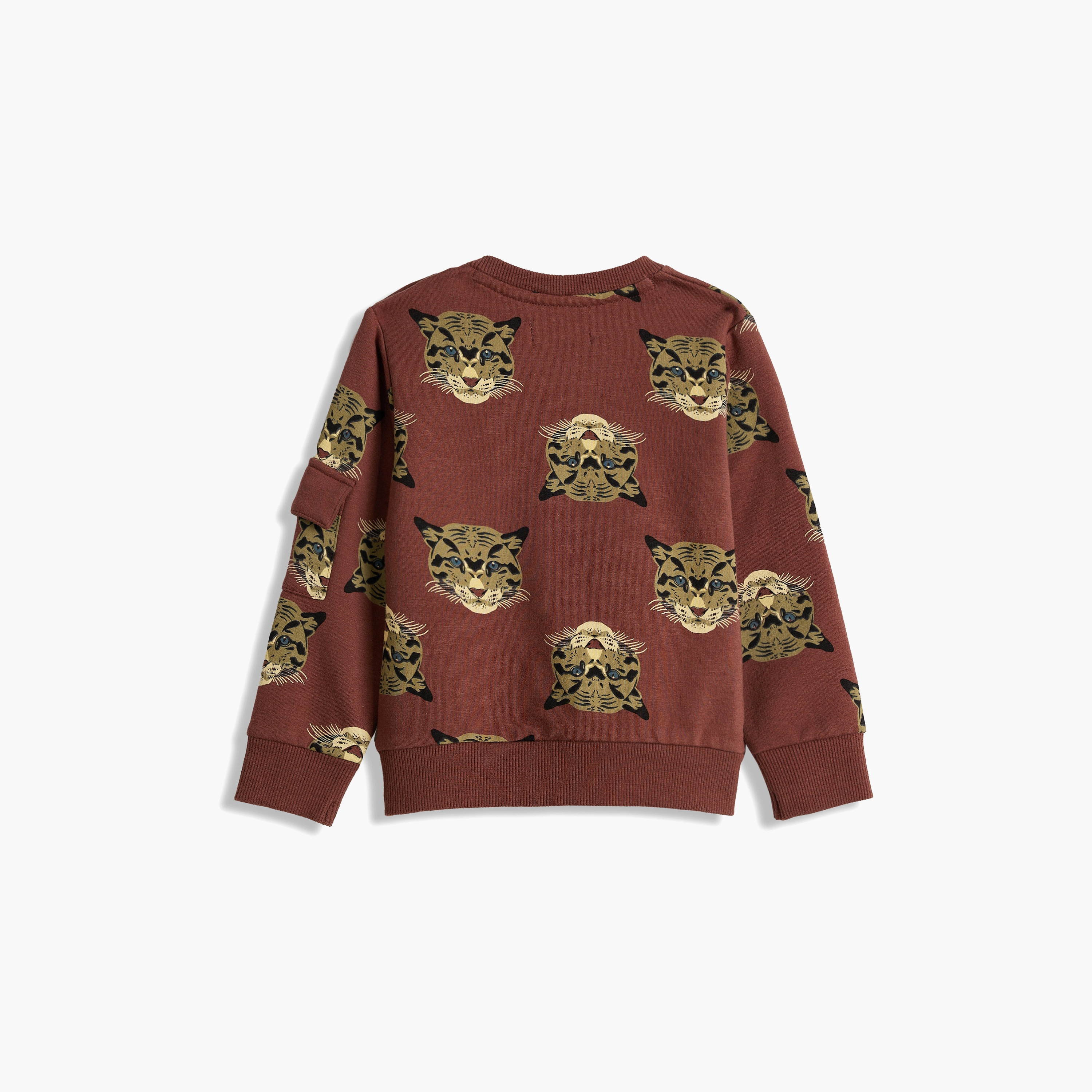 سويت شيرت مطبوع بأكمام طويلة مع بنطال ركض قطعتين من ديركجي-baby-boys-clothing-setsandcoords-image-4