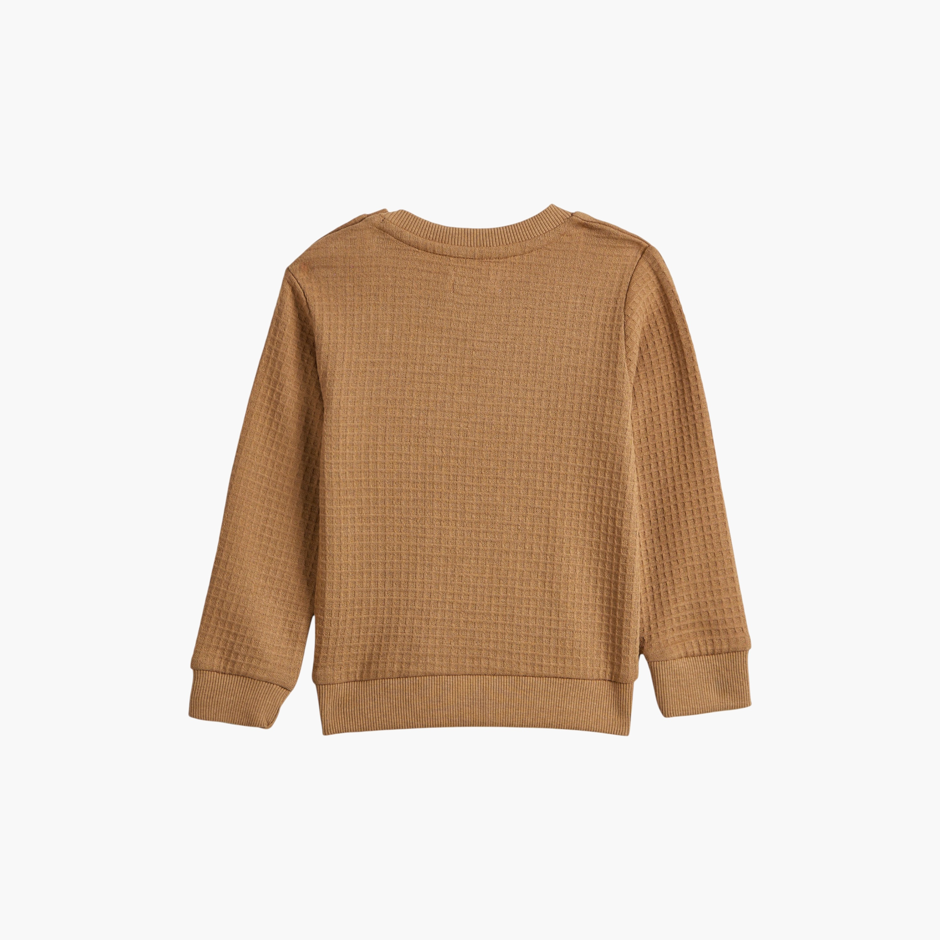 Dirkje 2-Piece Textured Long Sleeves Sweatshirt with Joggers-cpkids-clothing-boys-winterwear-sets-image-5