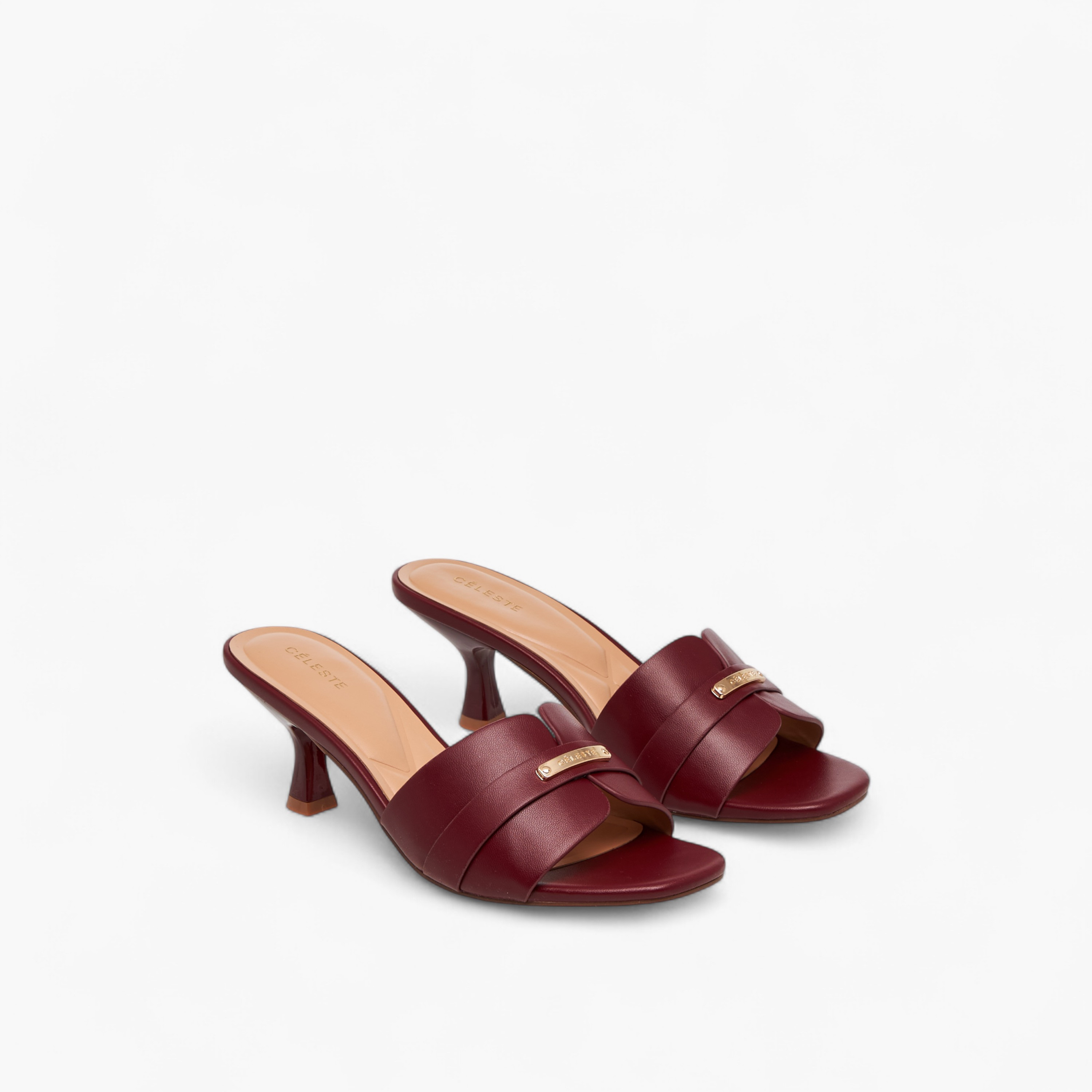 Celeste Women's Solid Slip-On Sandals with Flared Heels-women-shoes-sandals-heeled-image-1
