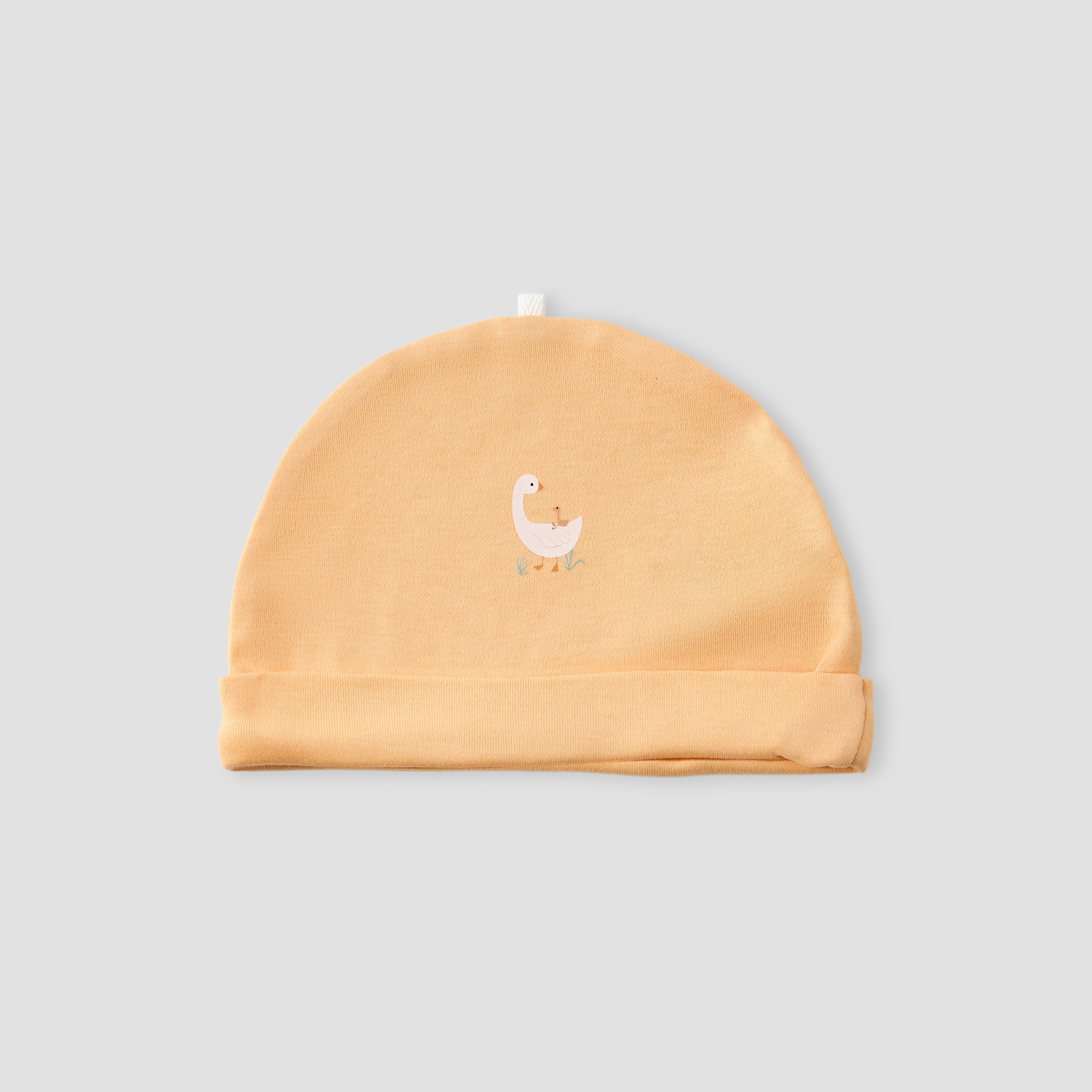 طقم قبعات بطبعة بطة من جونيورز - 5 قطع-baby-boys-accessories-caps-image-5