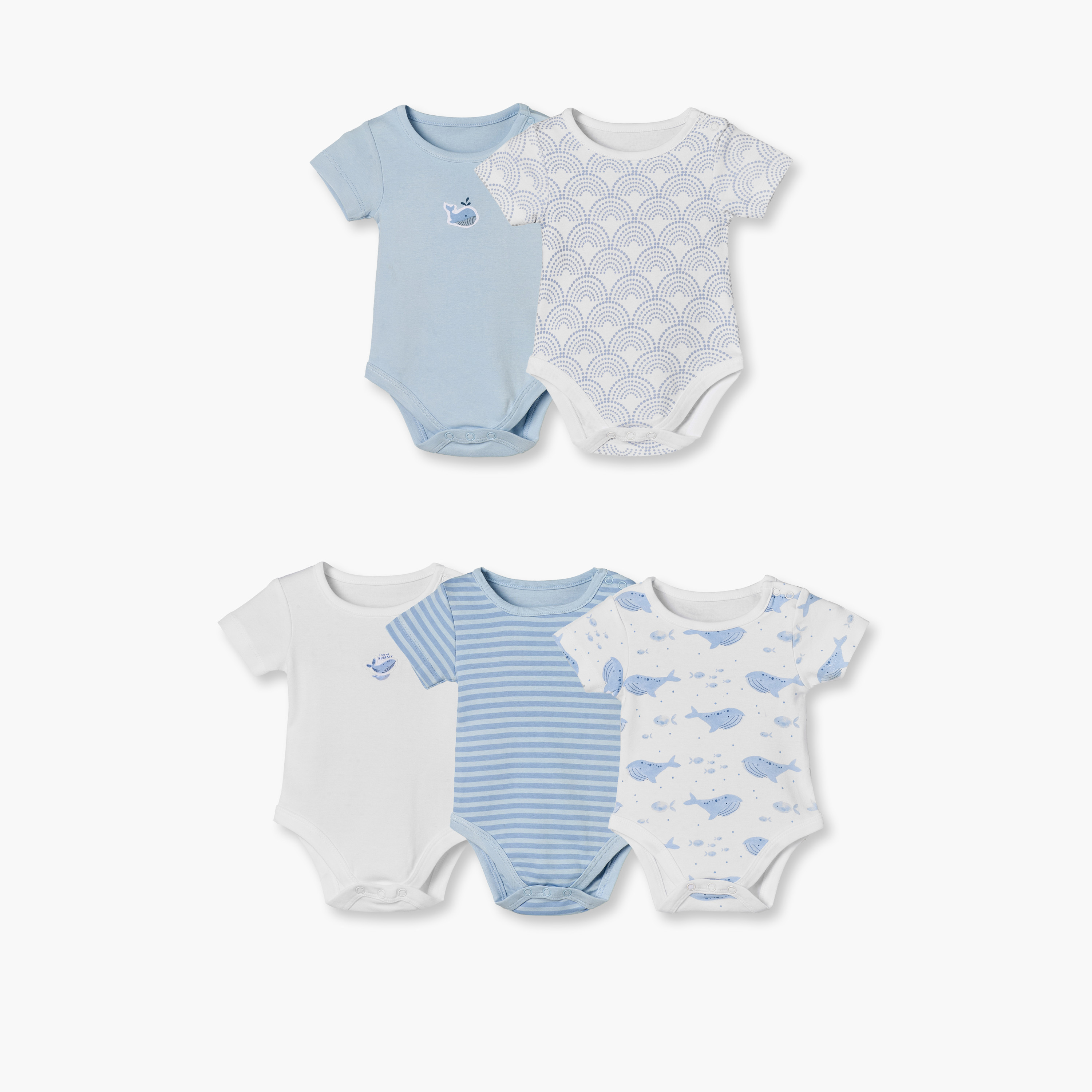 Pack of 5 Juniors Cotton Crew Neck Short Sleeves Bodysuit with Nautical Print-baby-girls-clothing-bodysuits-image-1