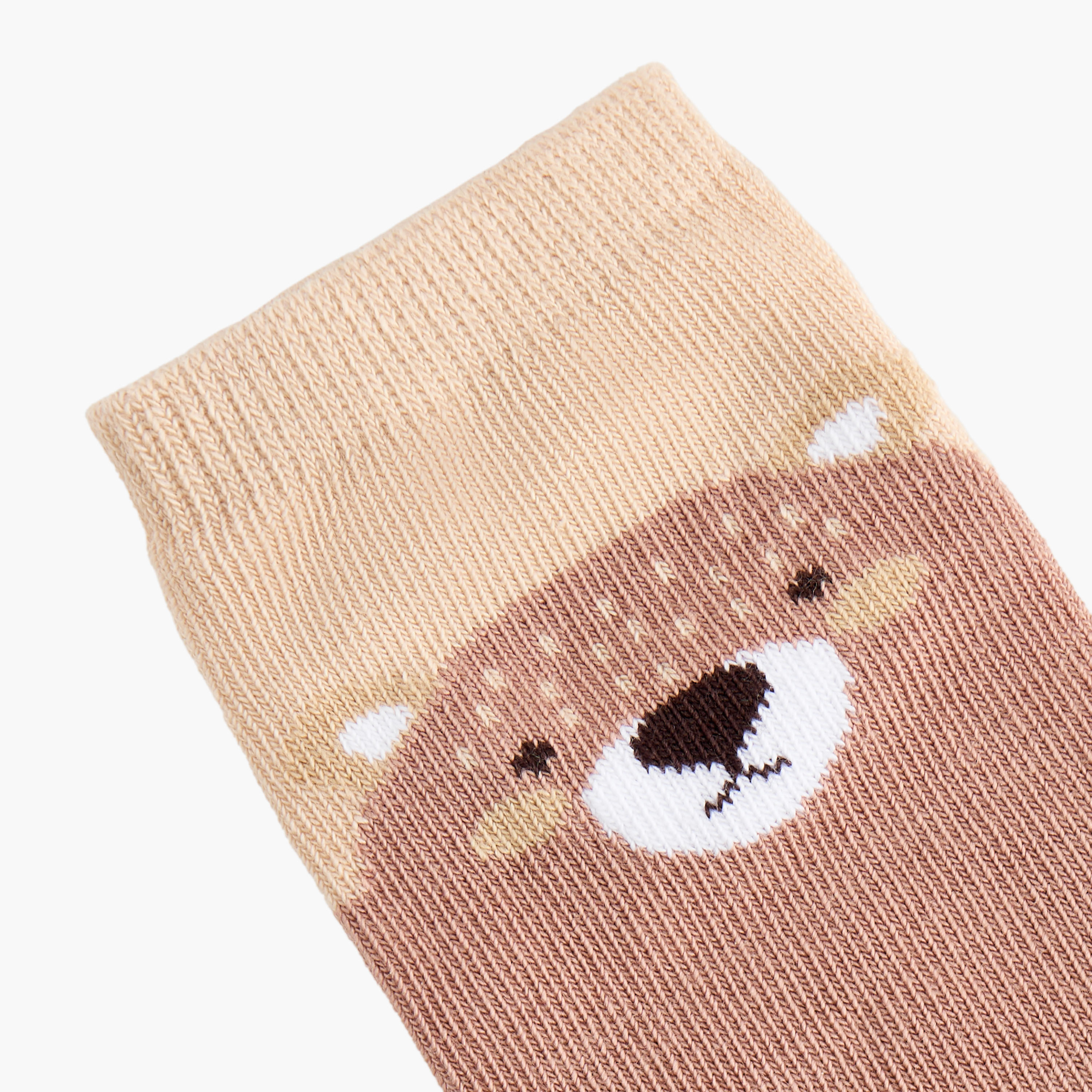 Juniors Bear Print Ankle Length Socks - Set of 7-baby-boys-accessories-socks-image-5
