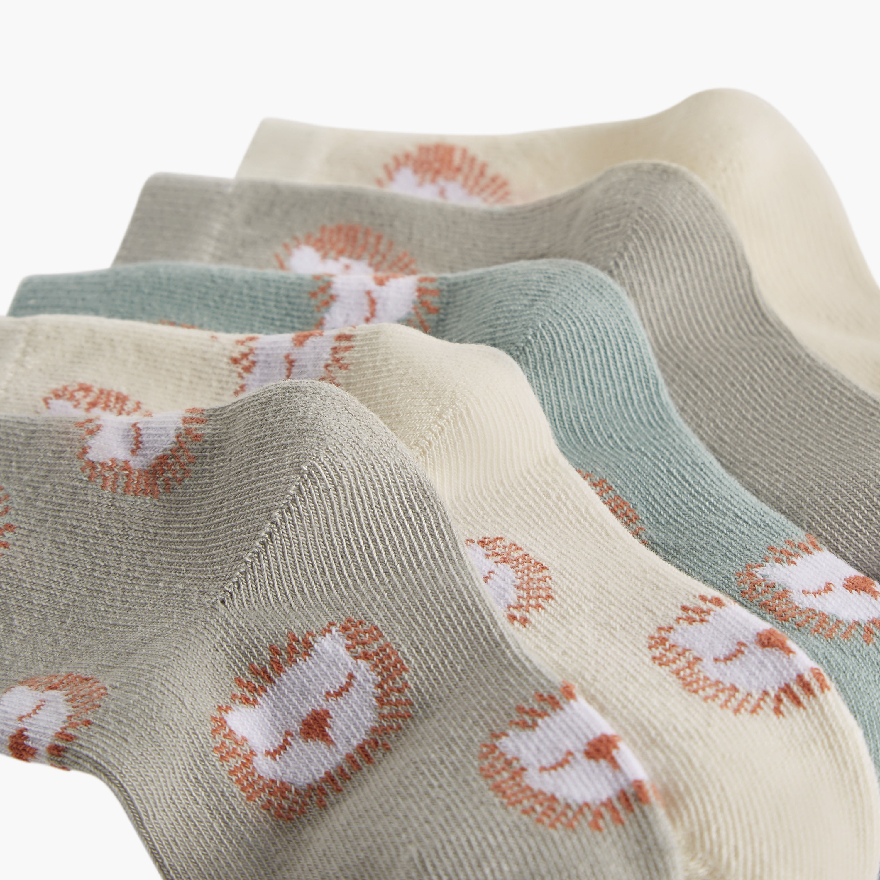 Juniors Printed Ankle Length Socks - Set of 5-baby-boys-accessories-socks-image-3