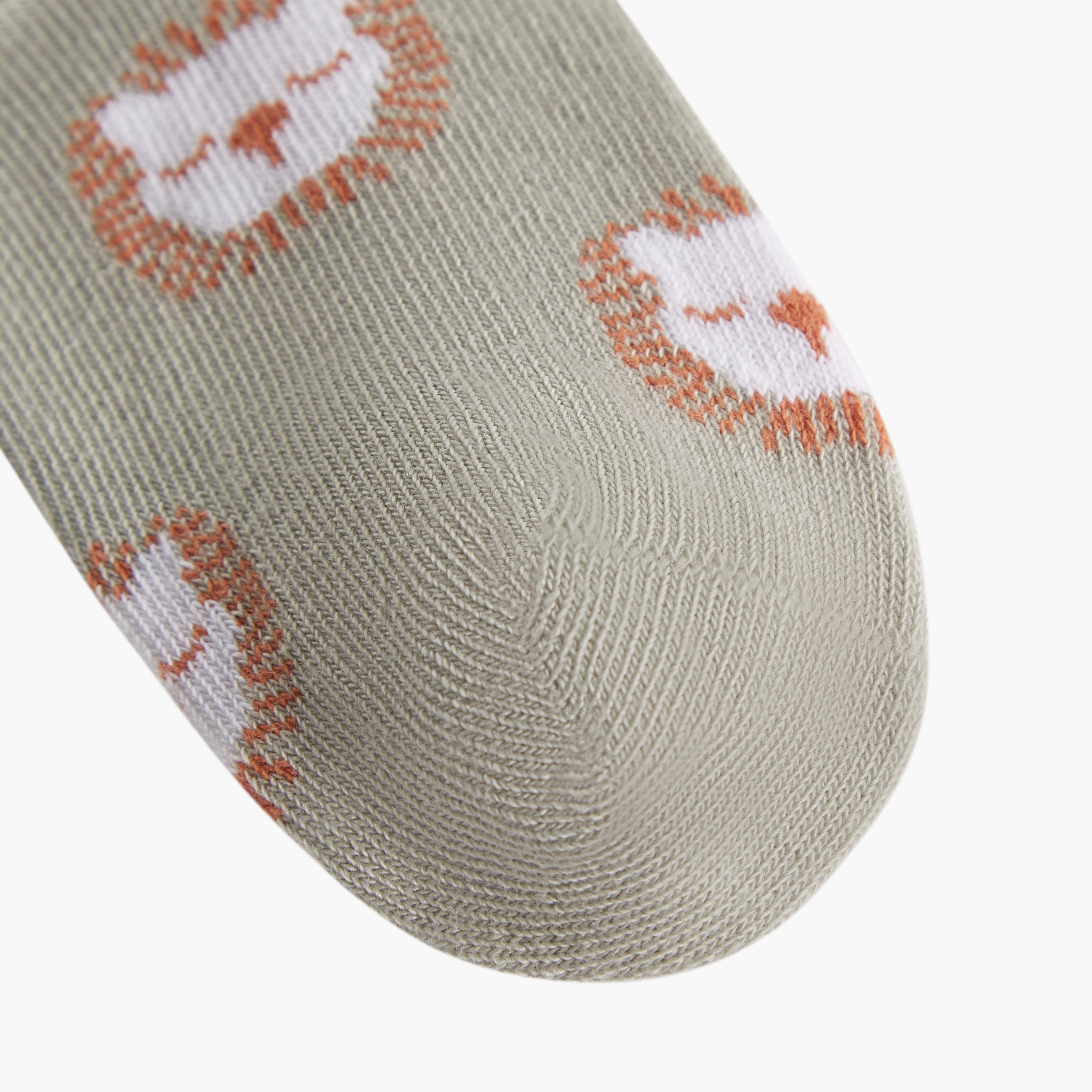 Juniors Printed Ankle Length Socks - Set of 5-baby-boys-accessories-socks-image-4