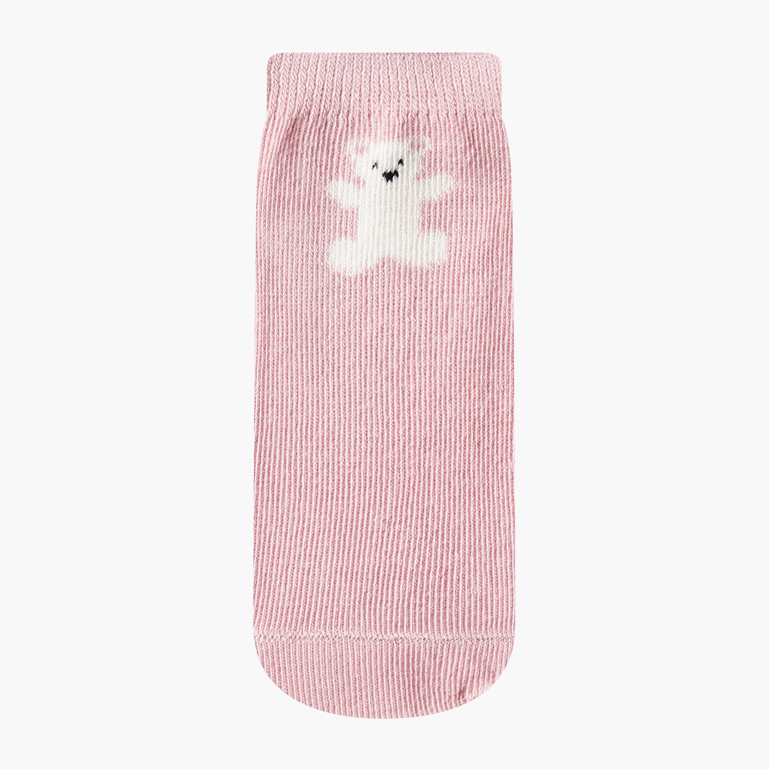 Pack of 5 Juniors Baby Girls Socks Bear Print-baby-girls-accessories-socks-image-2