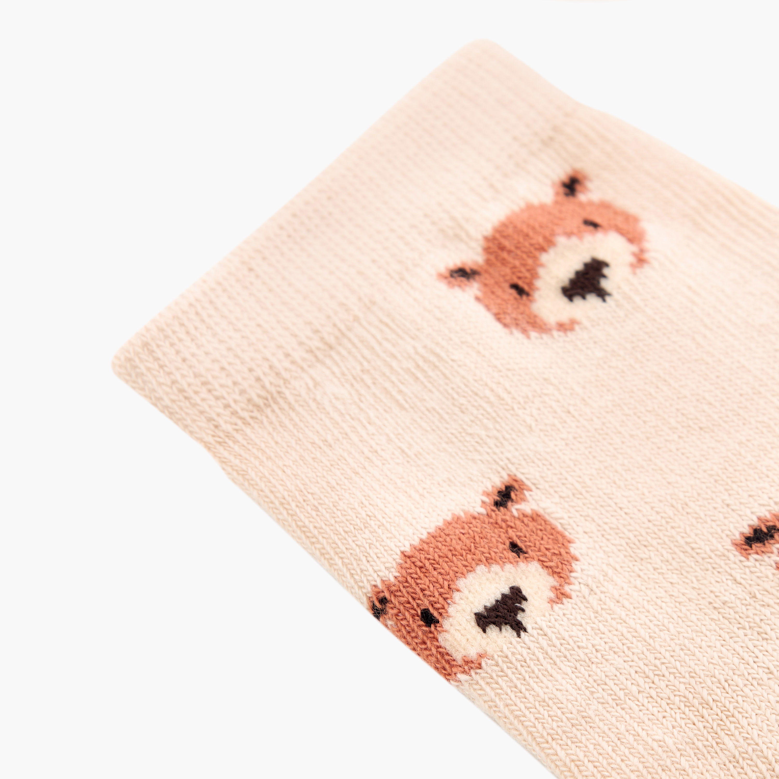 Juniors Printed Ankle Length Socks - Set of 5-baby-boys-accessories-socks-image-2